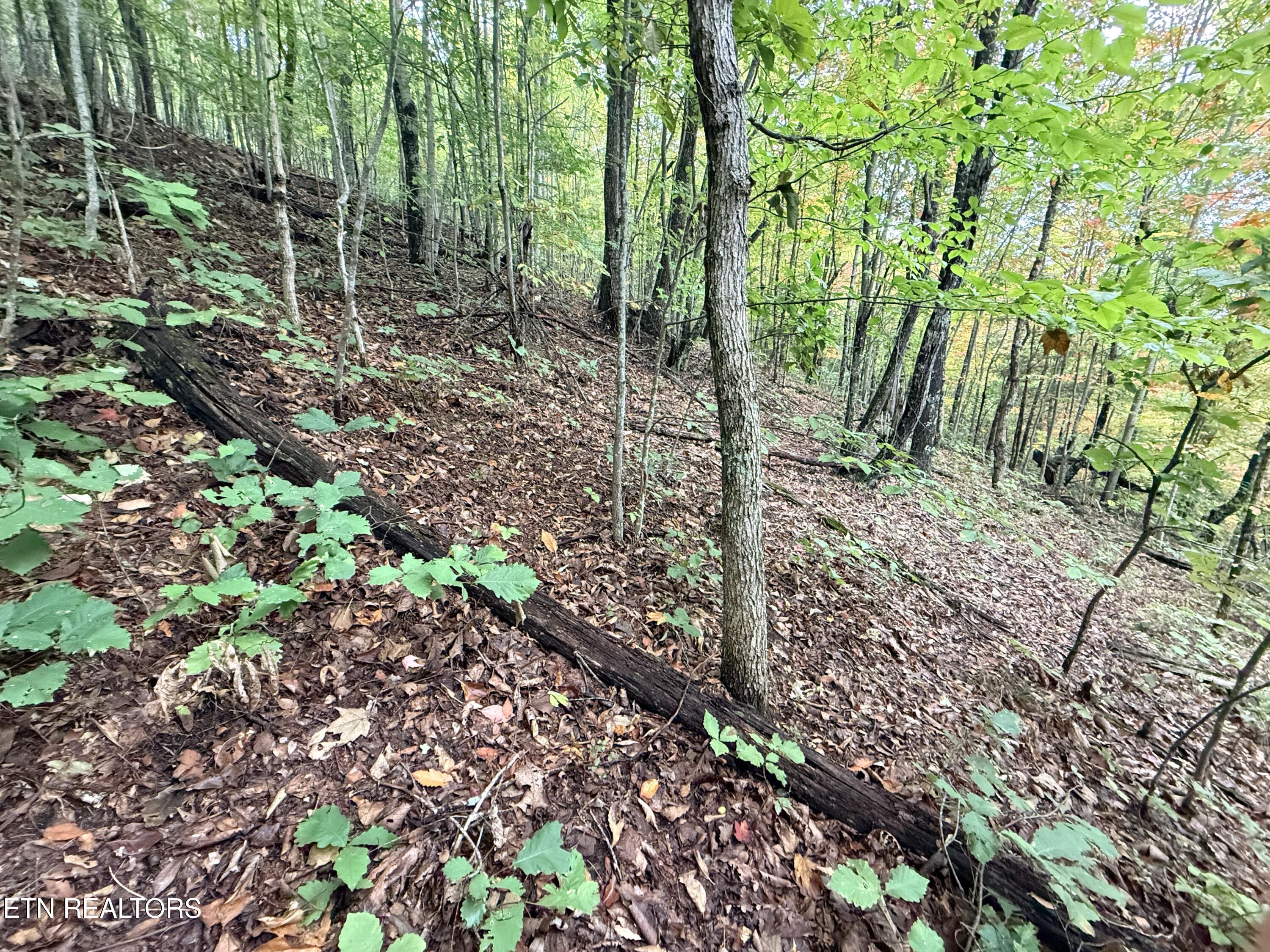 Lot 192 Clinch View Road New Tazewell TN 37825