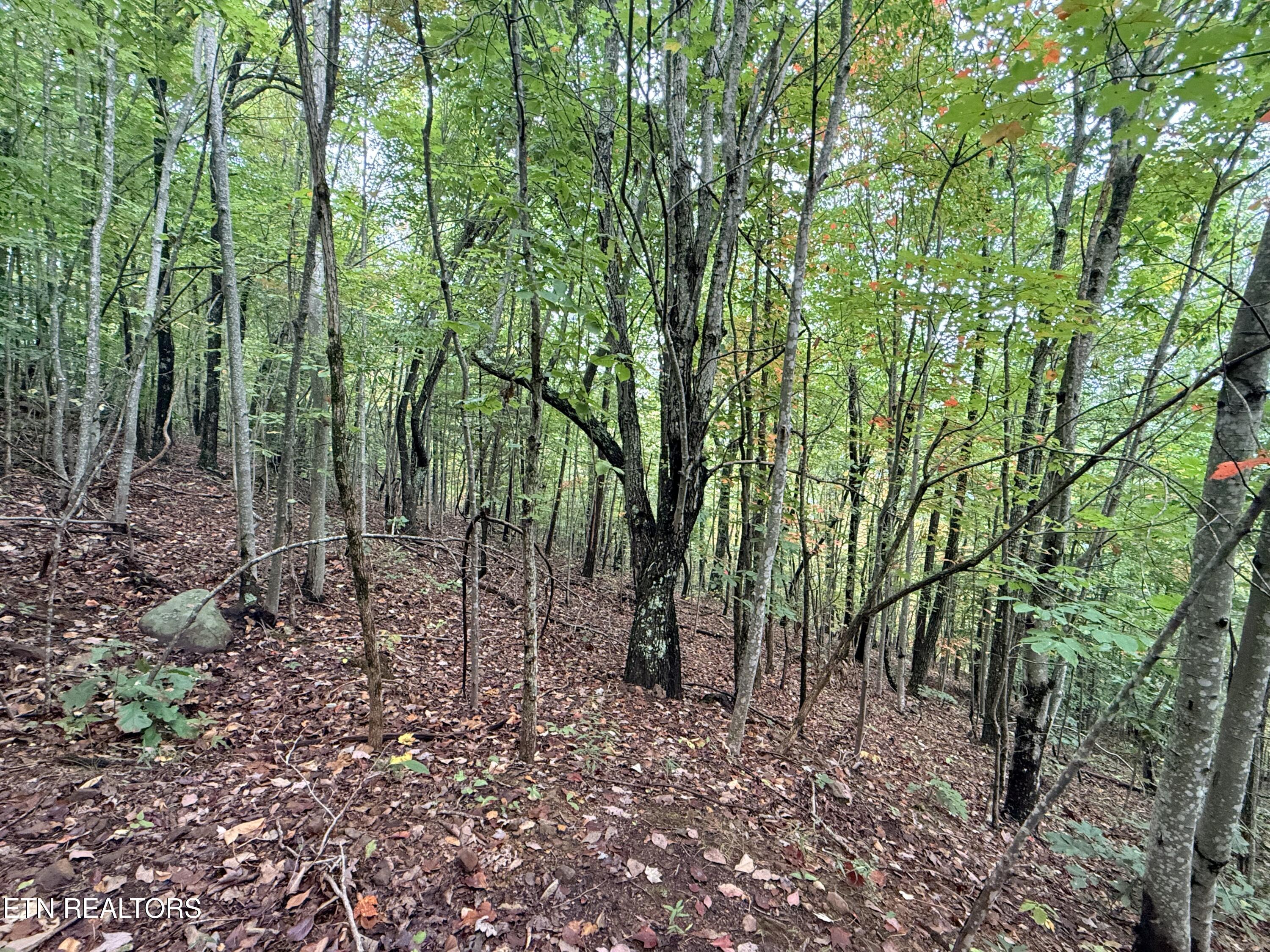 Lot 192 Clinch View Road New Tazewell TN 37825