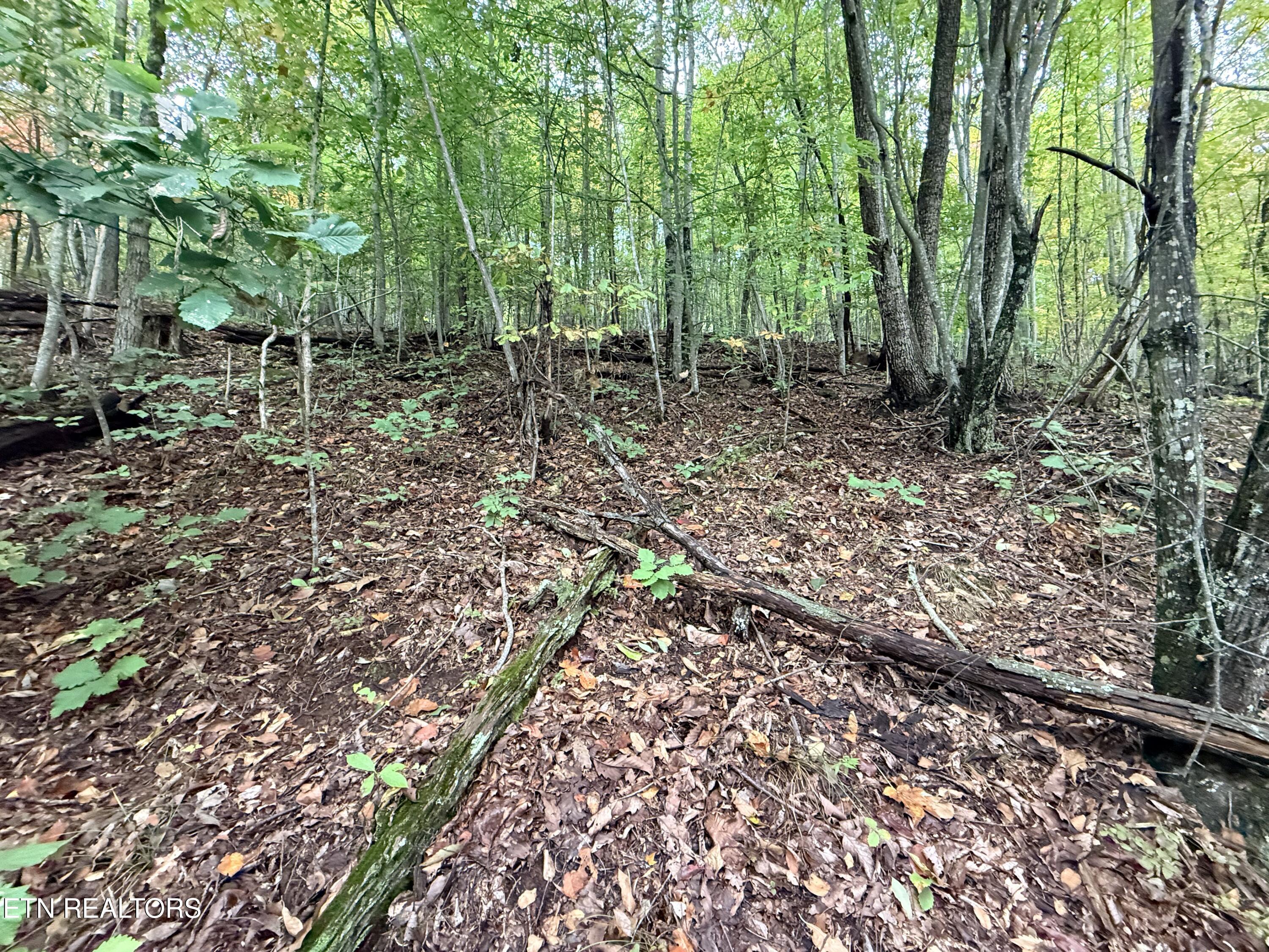 Lot 192 Clinch View Road New Tazewell TN 37825