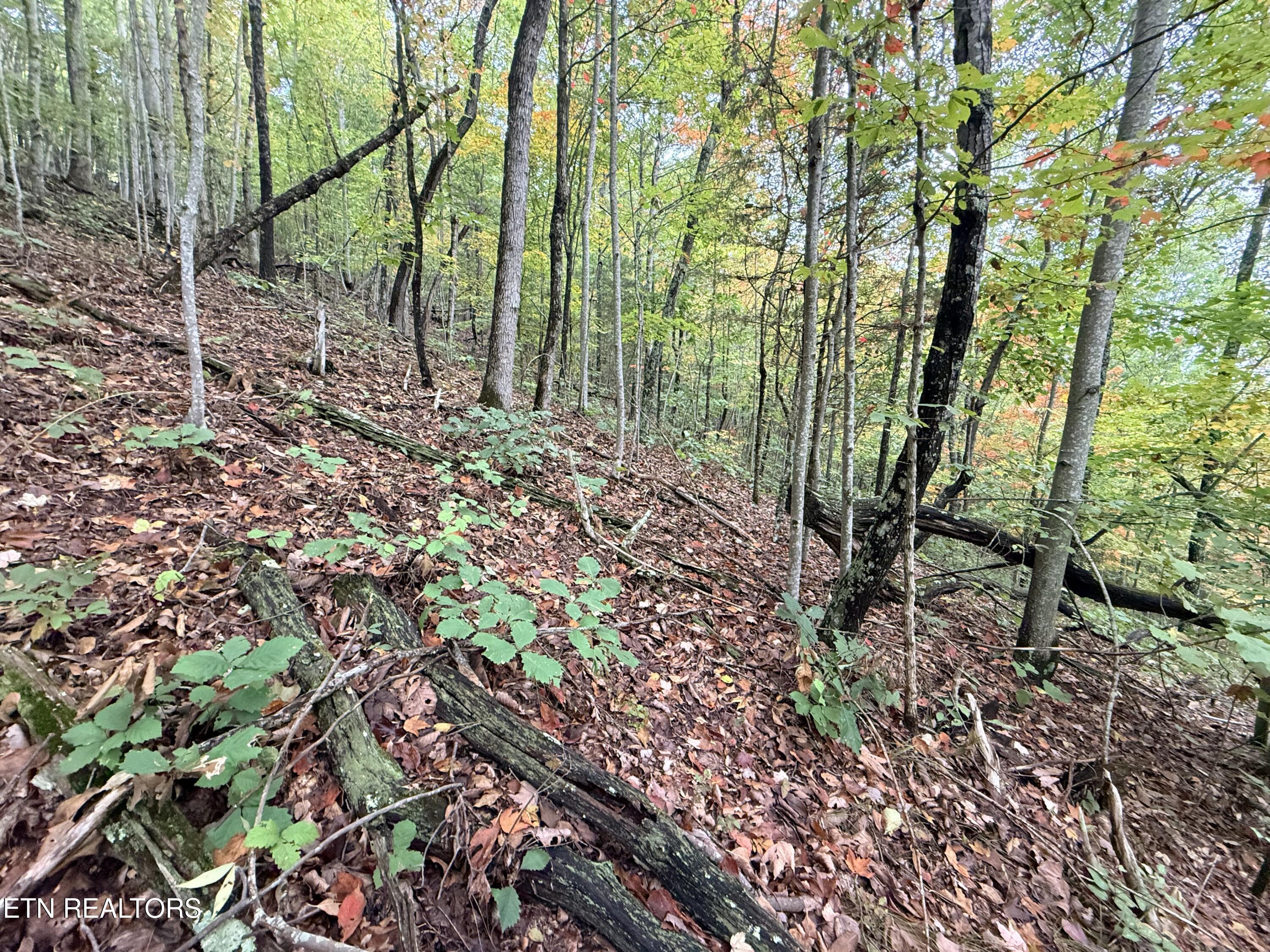 Lot 192 Clinch View Road New Tazewell TN 37825