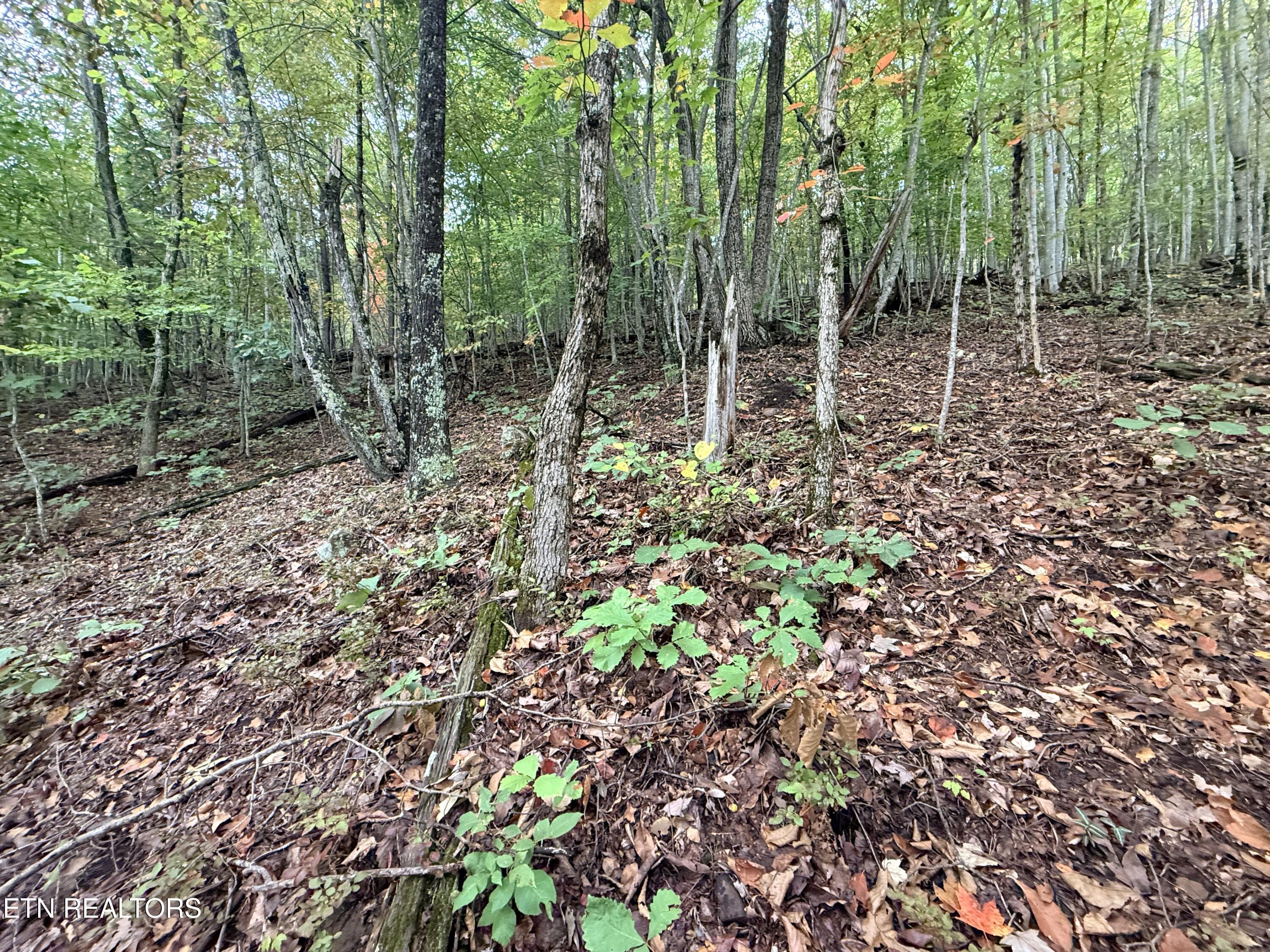 Lot 192 Clinch View Road New Tazewell TN 37825