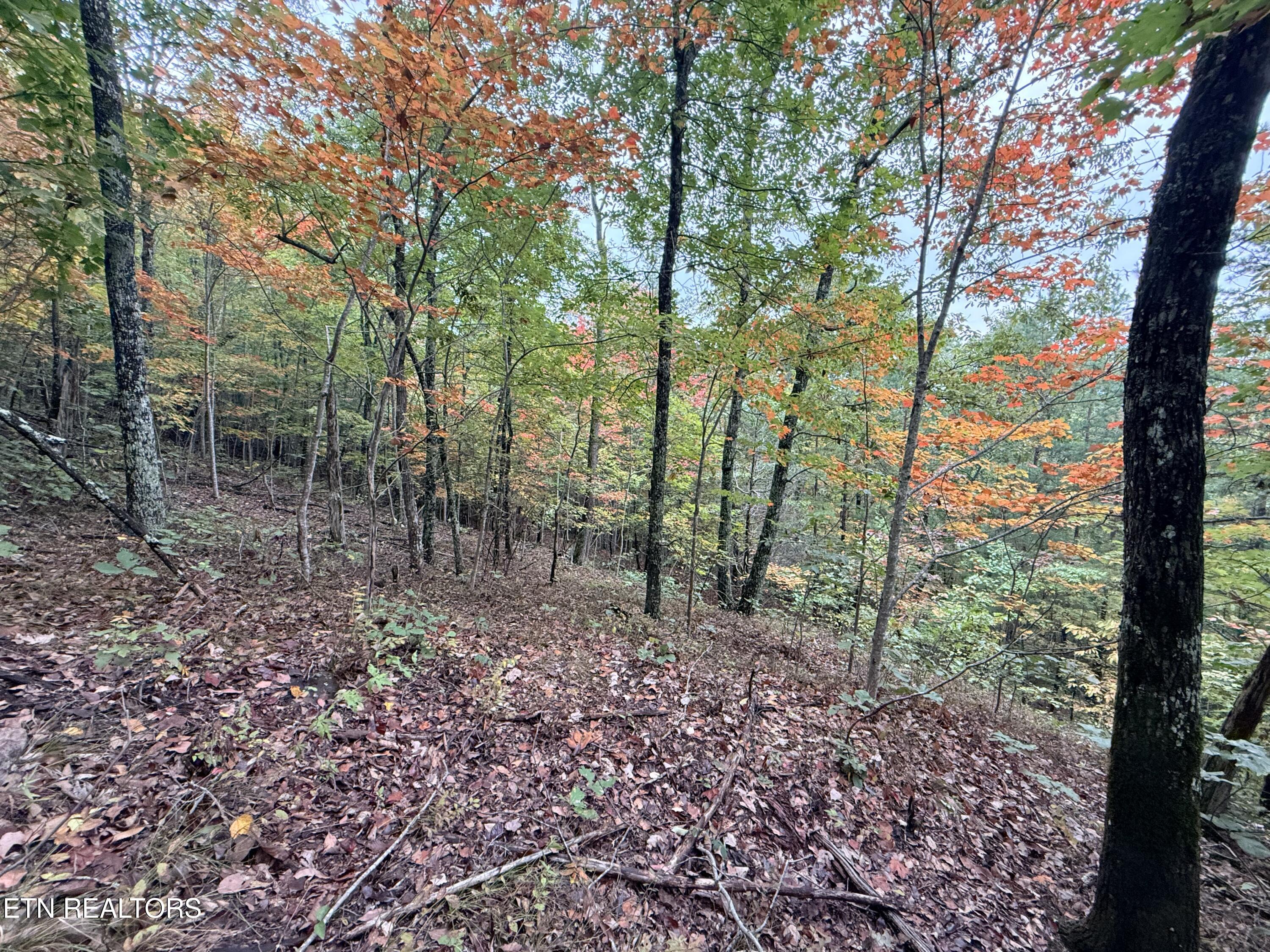 Lot 192 Clinch View Road New Tazewell TN 37825
