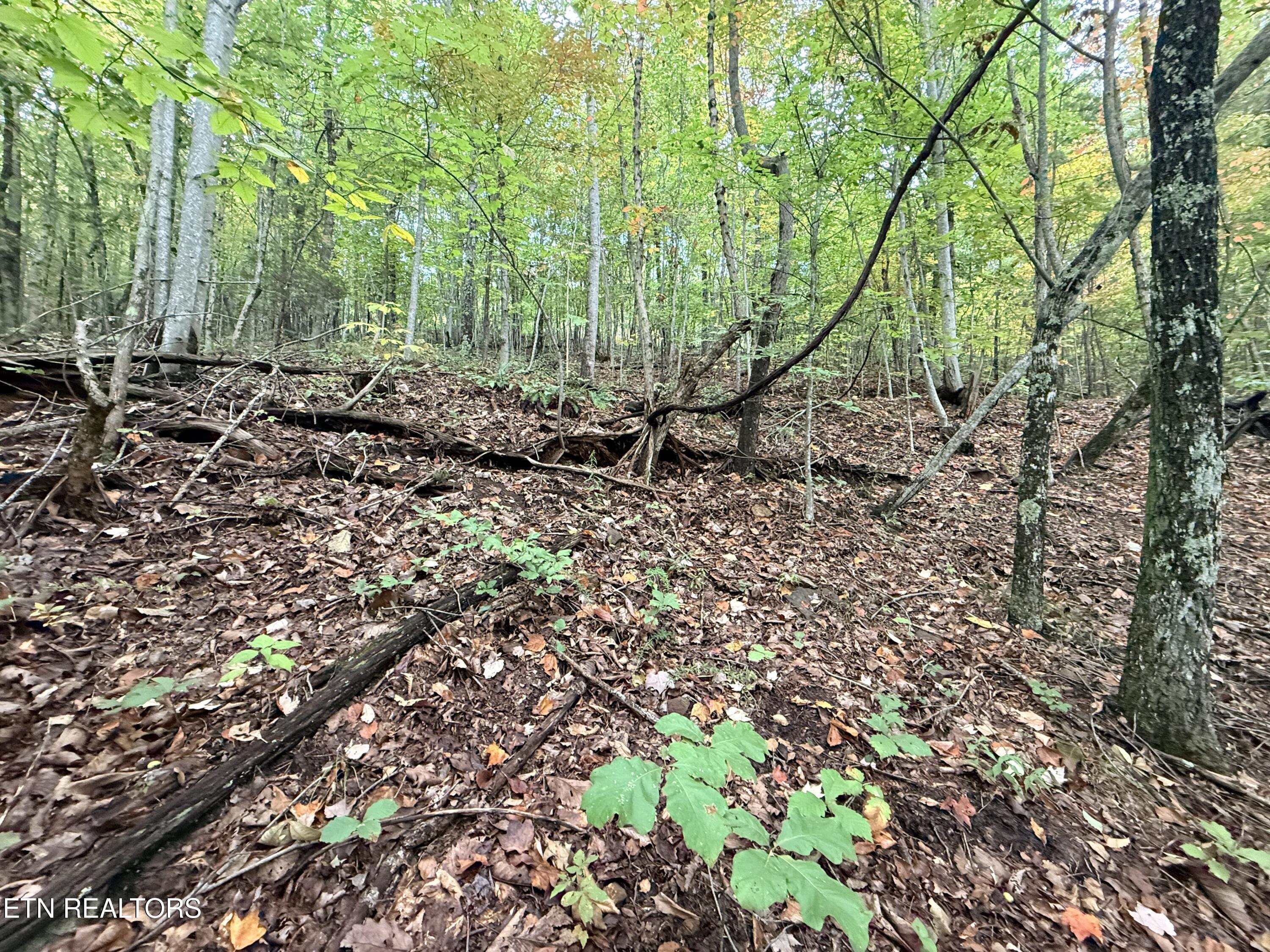 Lot 192 Clinch View Road New Tazewell TN 37825