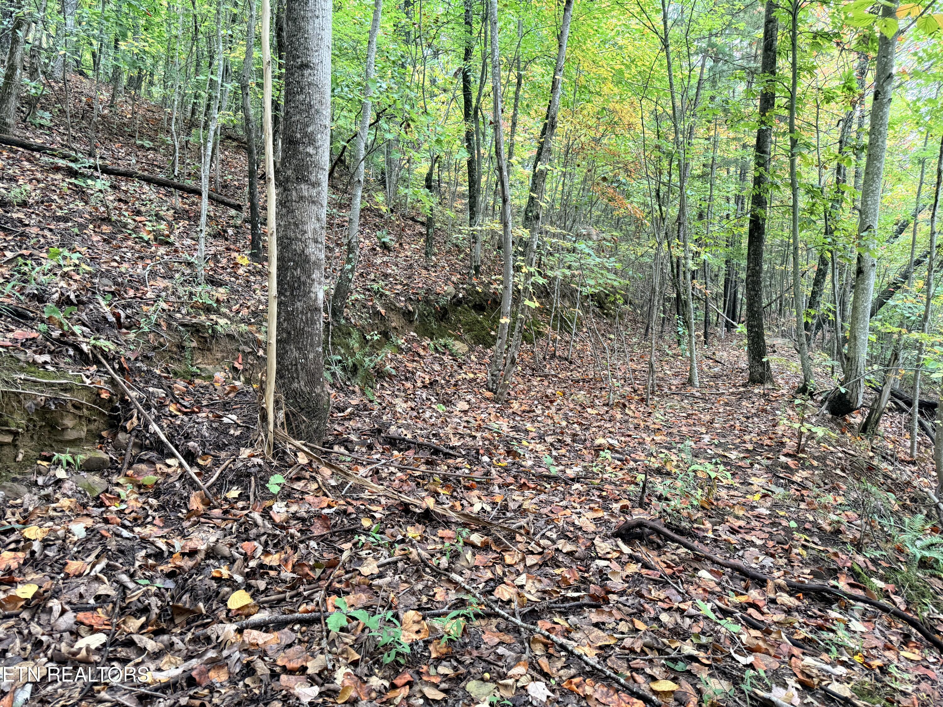 Lot 192 Clinch View Road New Tazewell TN 37825