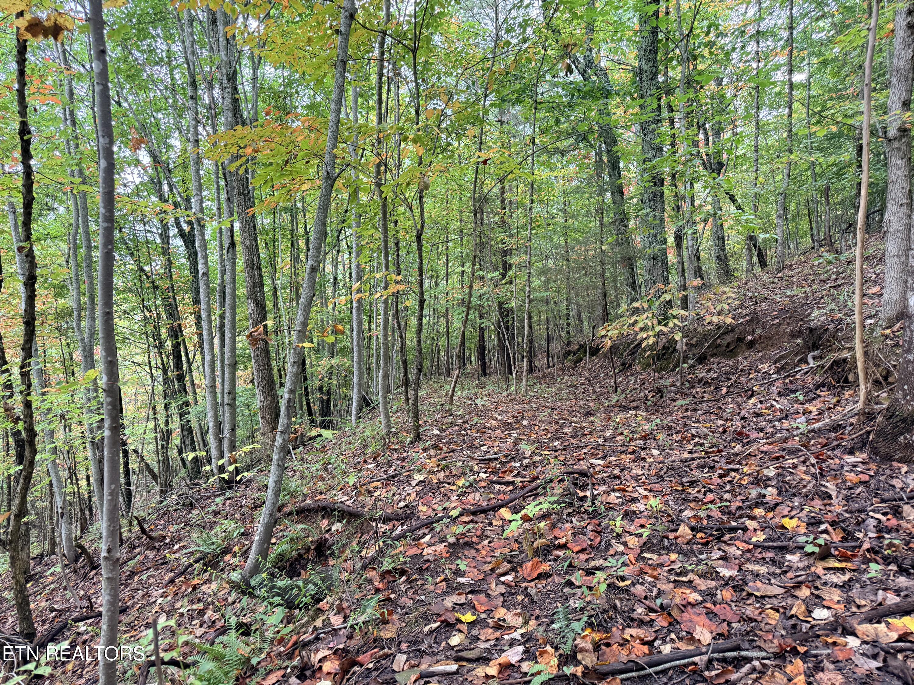 Lot 192 Clinch View Road New Tazewell TN 37825