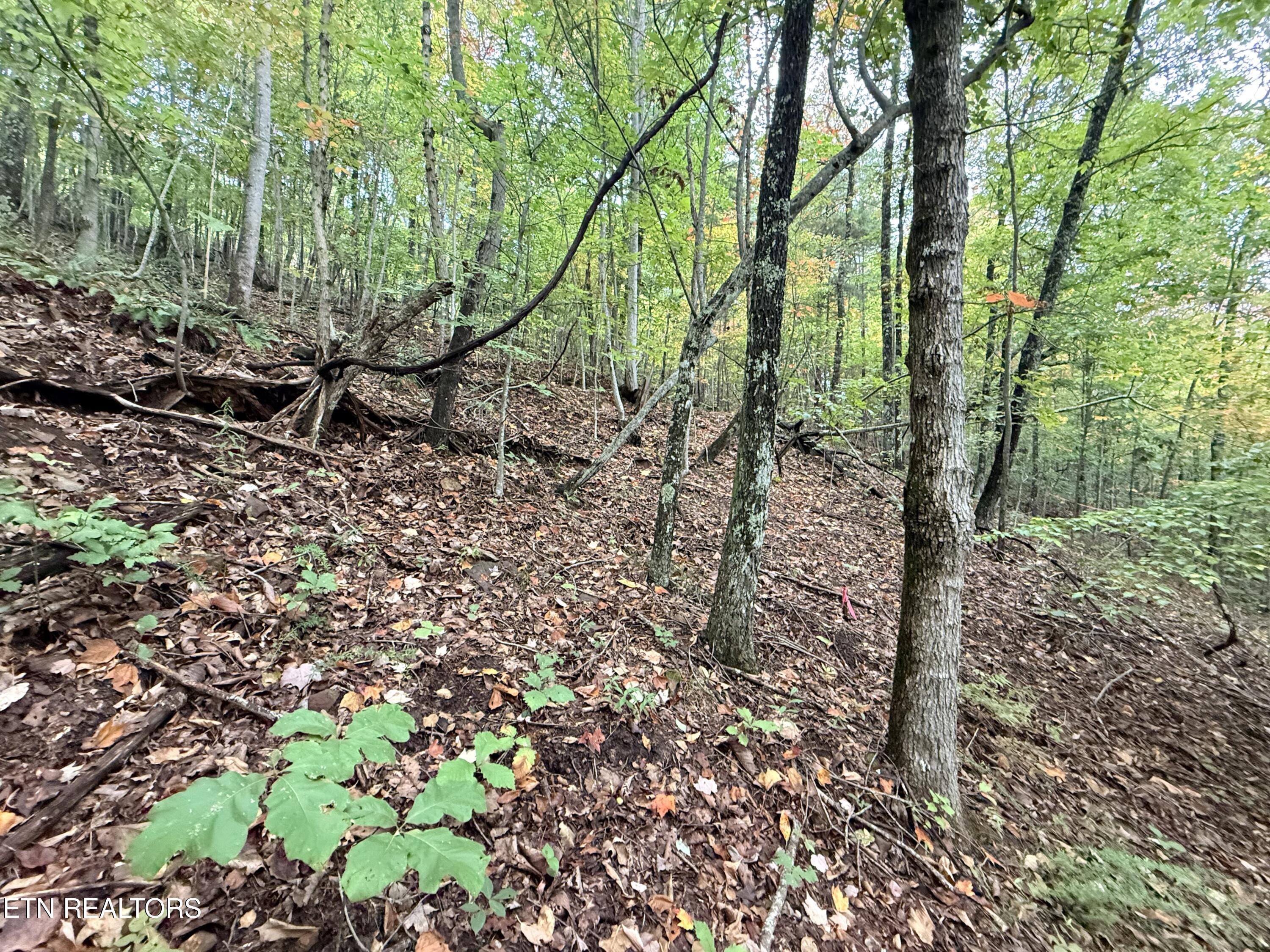 Lot 192 Clinch View Road New Tazewell TN 37825