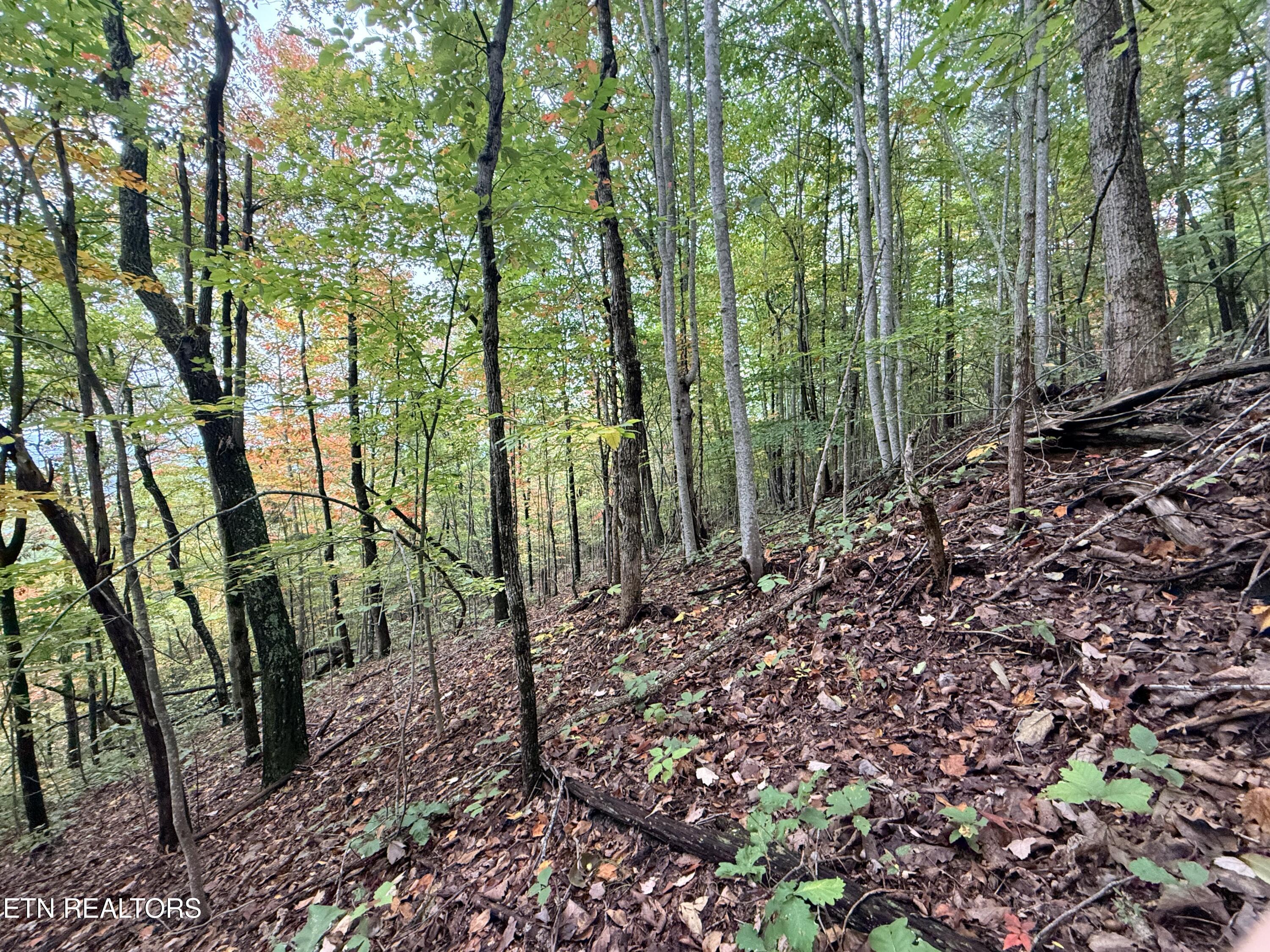 Lot 192 Clinch View Road New Tazewell TN 37825