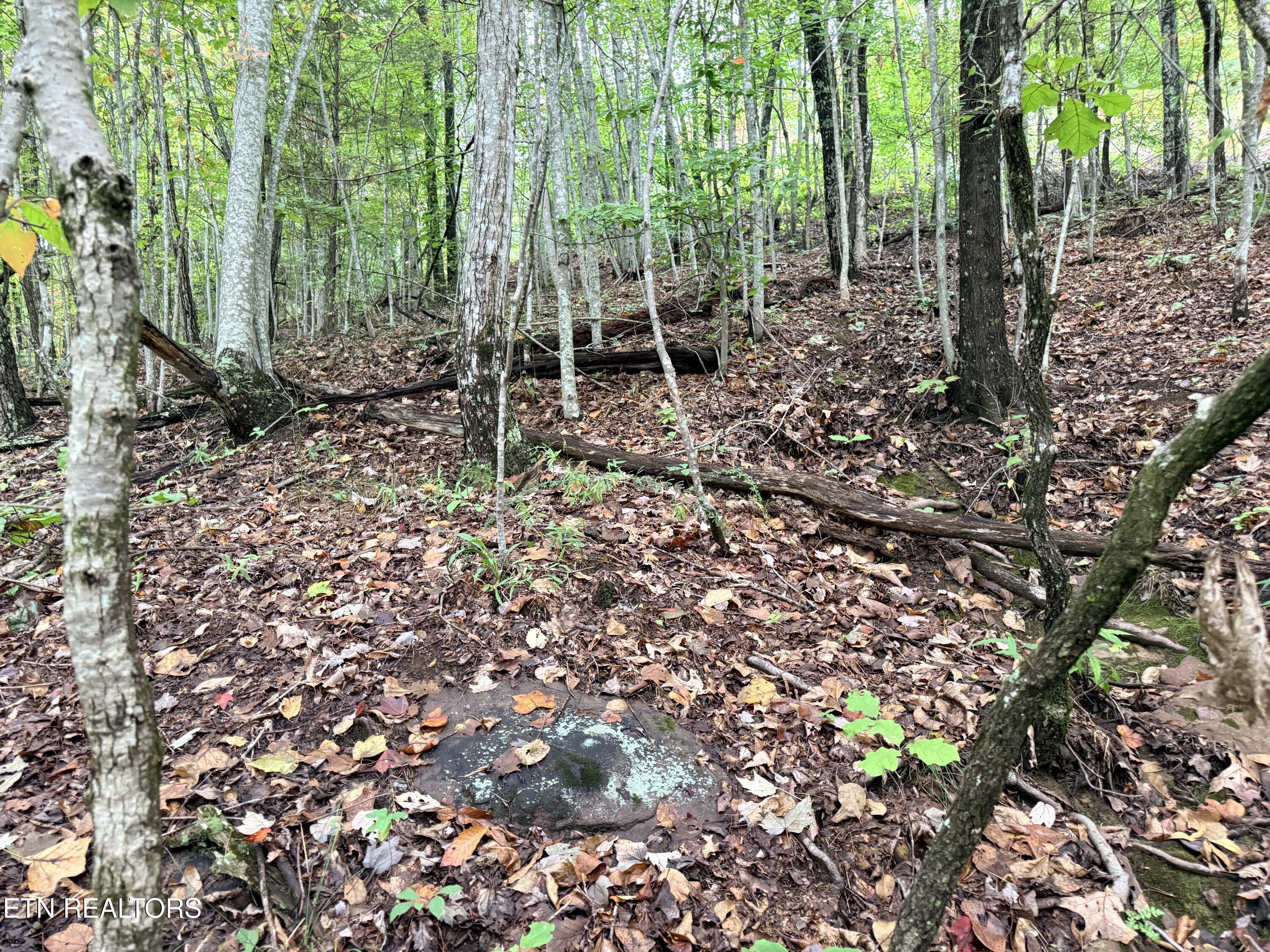 Lot 192 Clinch View Road New Tazewell TN 37825