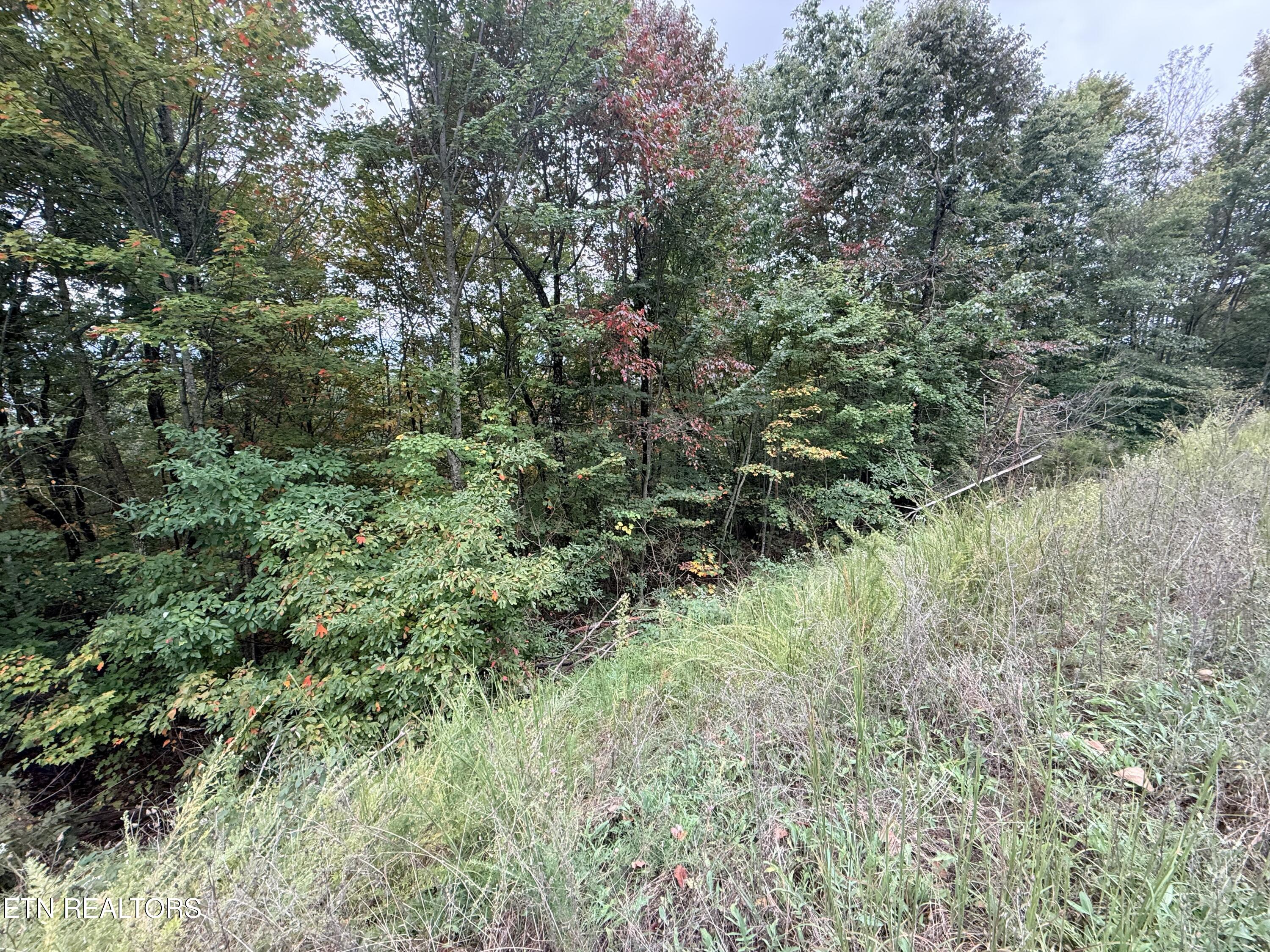 Lot 192 Clinch View Road New Tazewell TN 37825