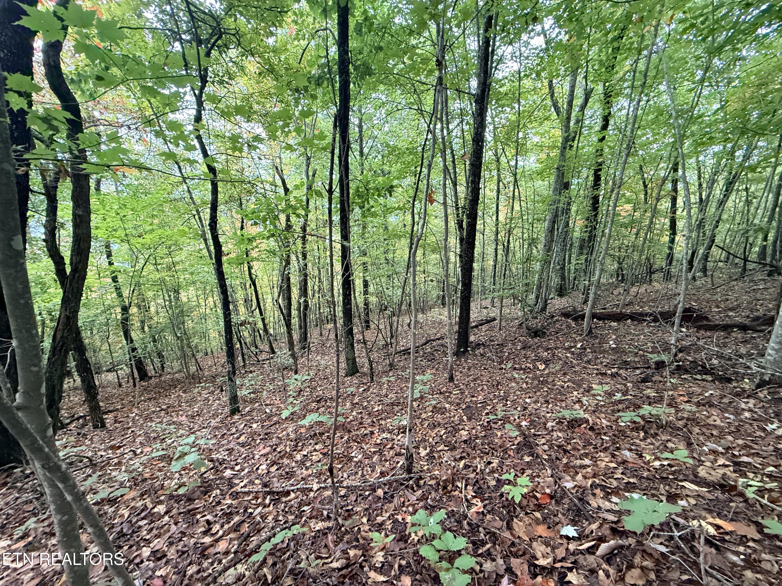 Lot 192 Clinch View Road New Tazewell TN 37825