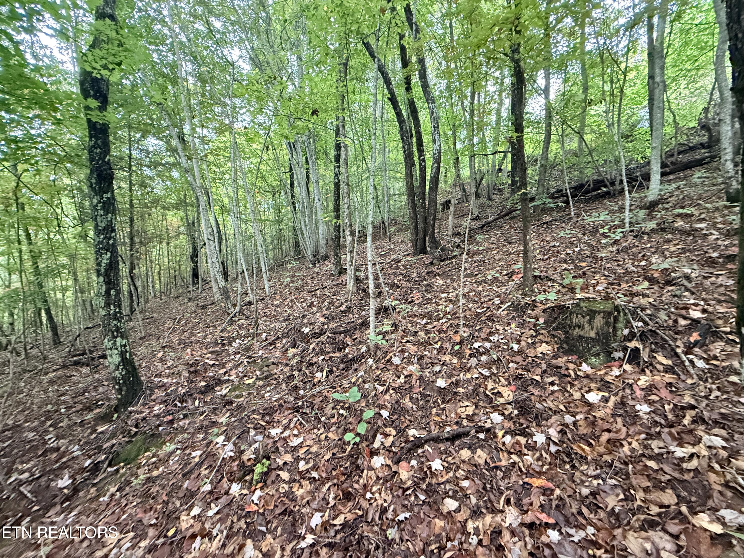 Lot 192 Clinch View Road New Tazewell TN 37825