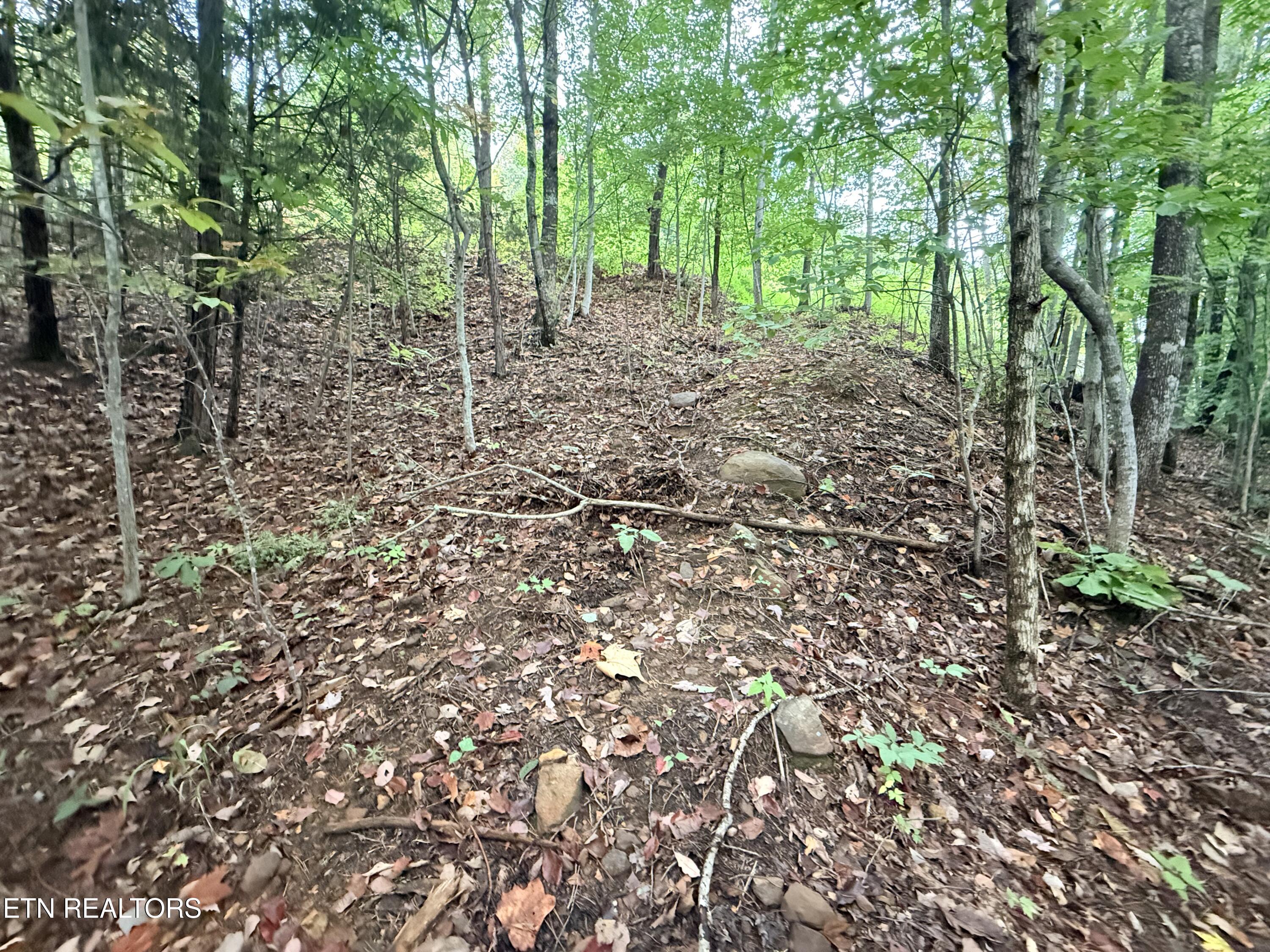 Lot 192 Clinch View Road New Tazewell TN 37825