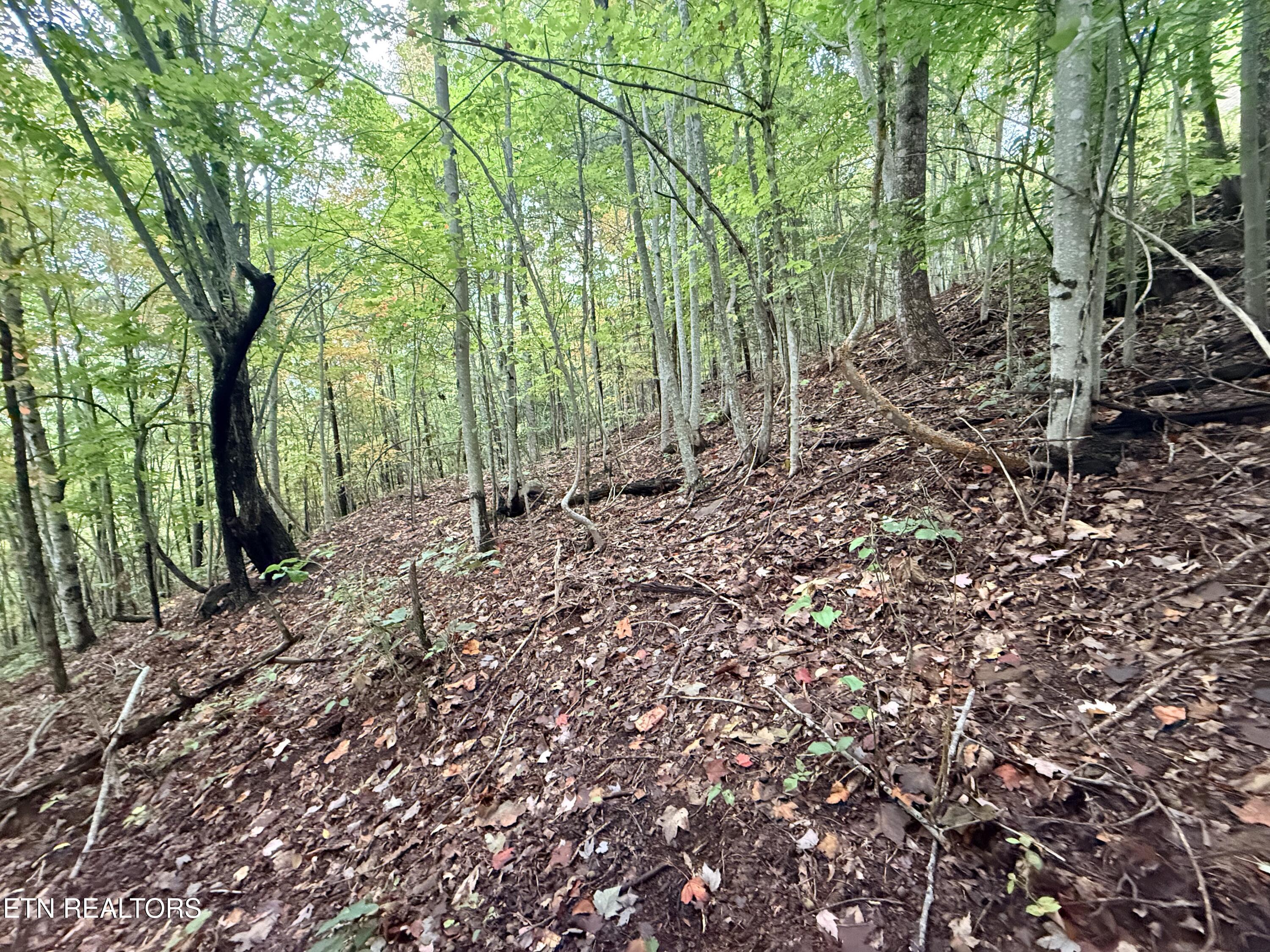 Lot 192 Clinch View Road New Tazewell TN 37825