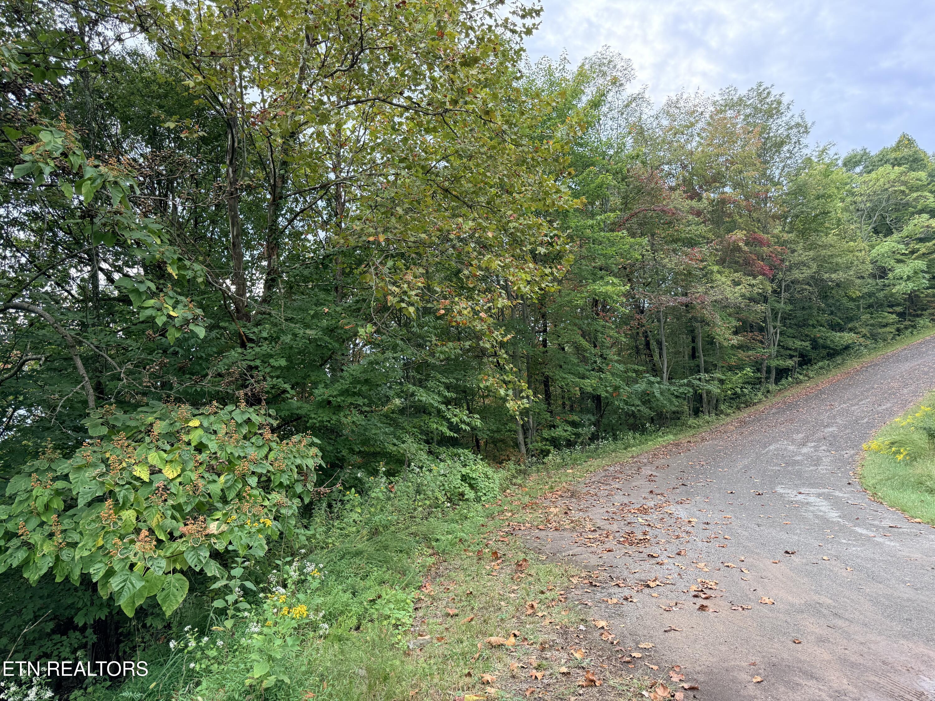 Lot 192 Clinch View Road New Tazewell TN 37825