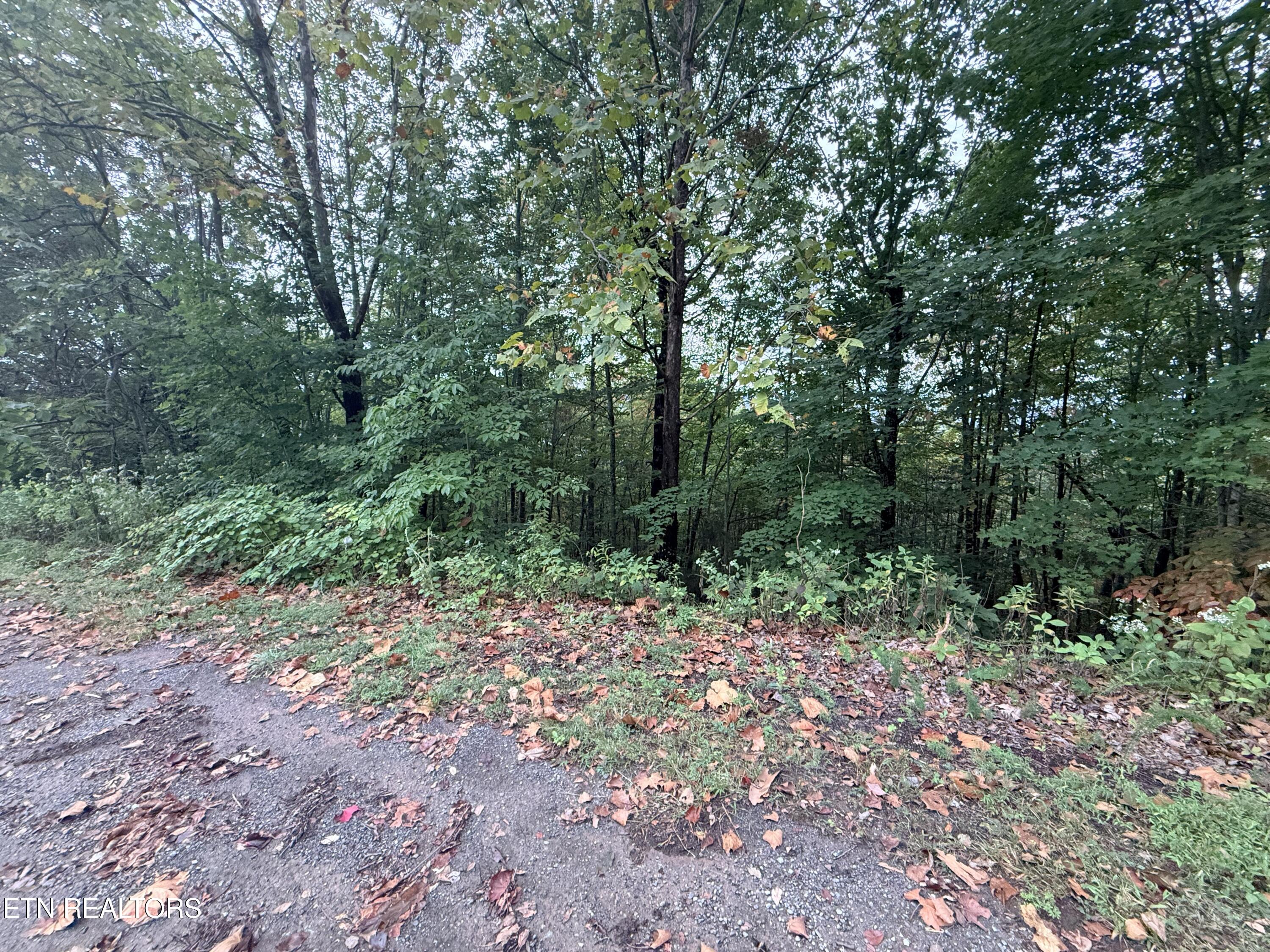 Lot 192 Clinch View Road New Tazewell TN 37825