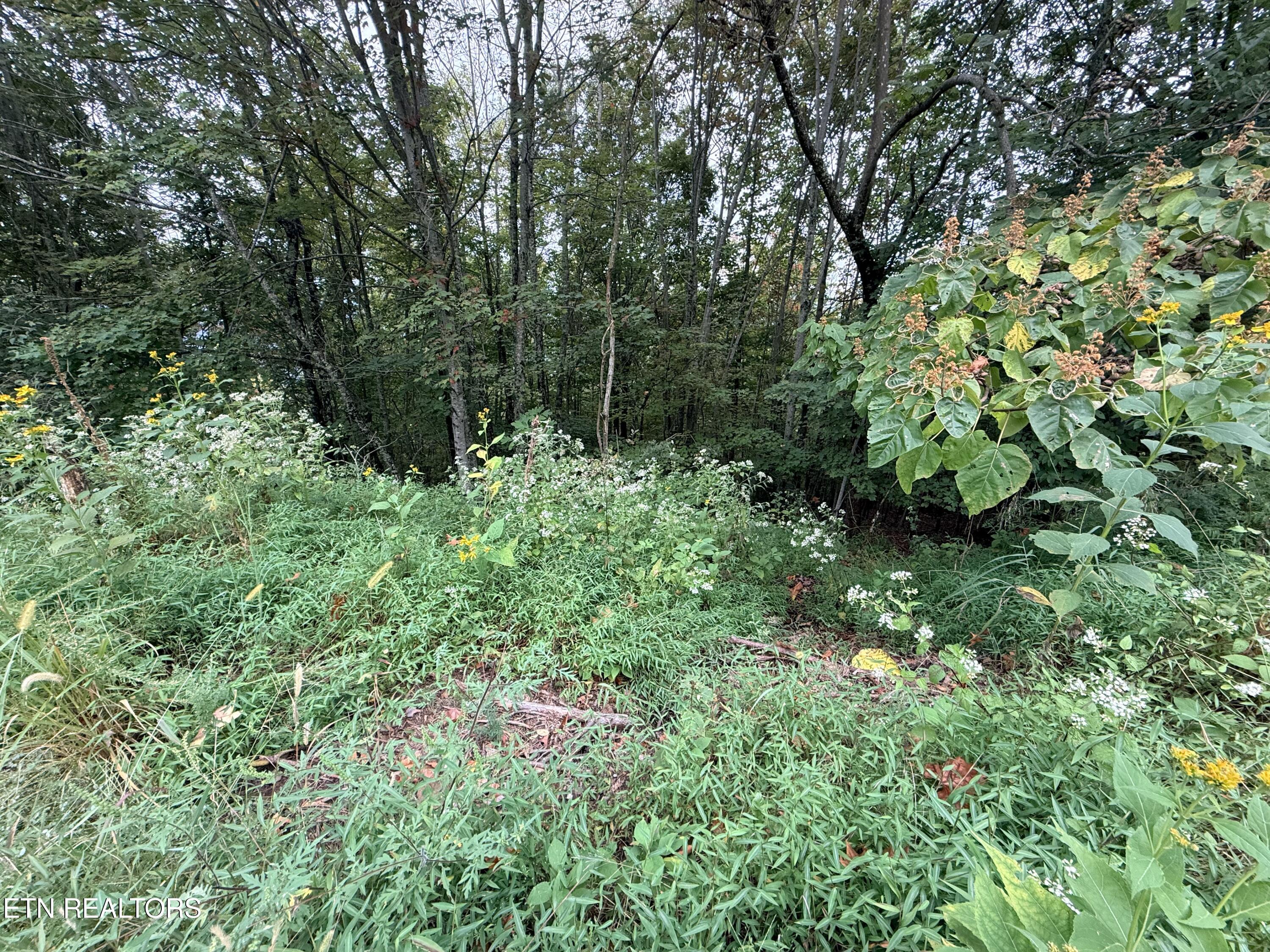 Lot 192 Clinch View Road New Tazewell TN 37825