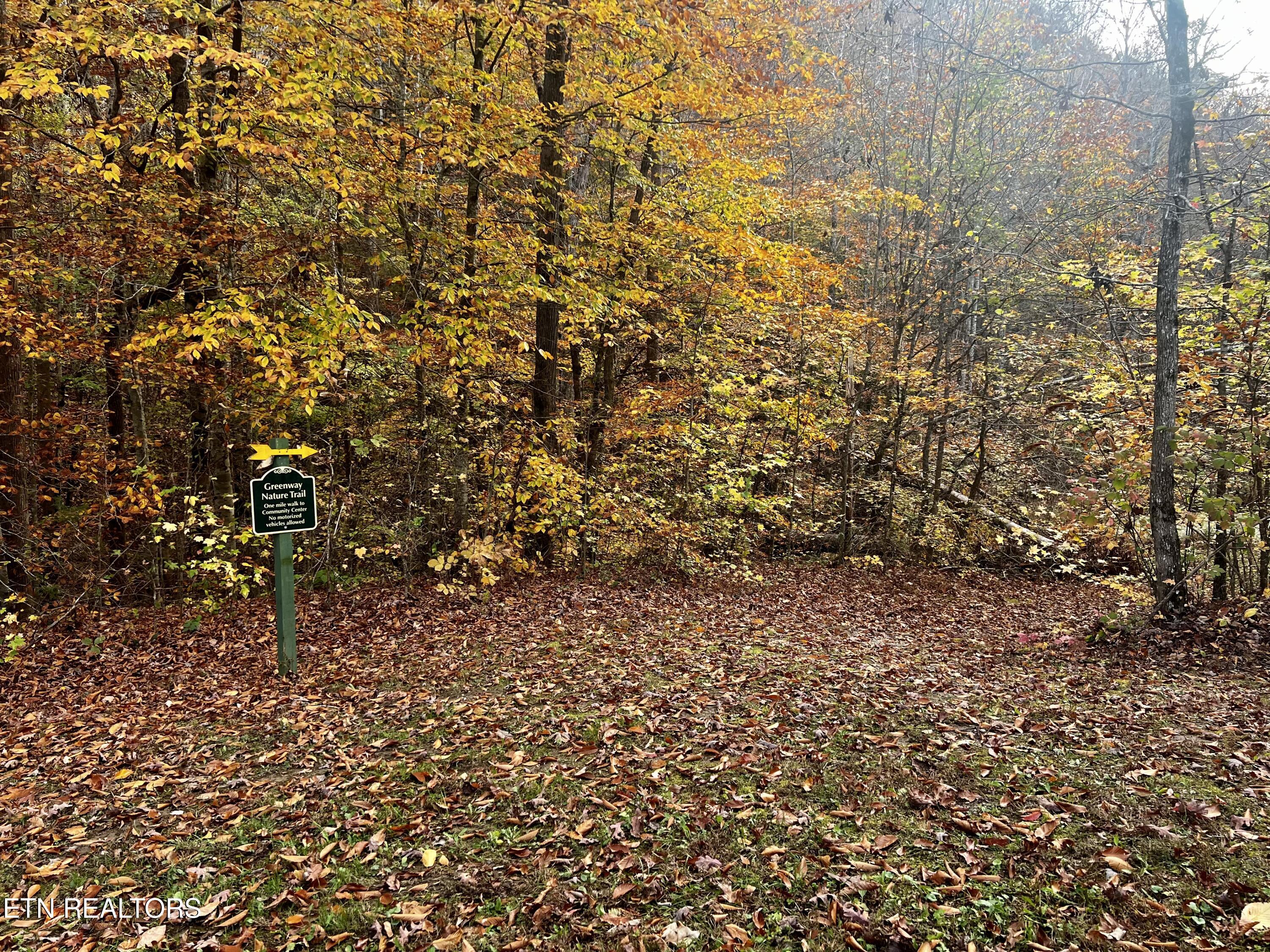 Lot 192 Clinch View Road New Tazewell TN 37825