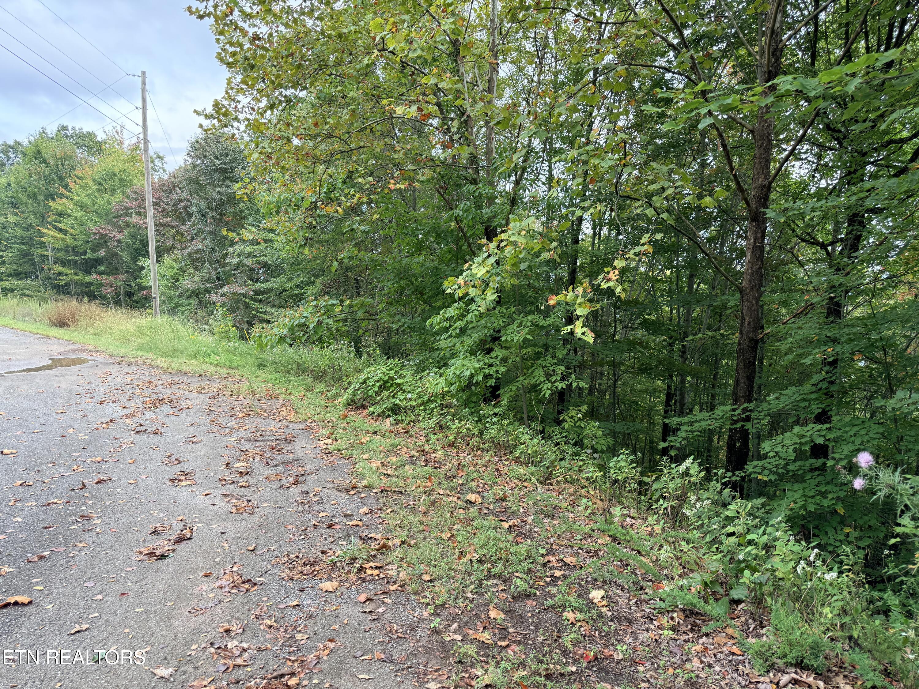 Lot 192 Clinch View Road New Tazewell TN 37825