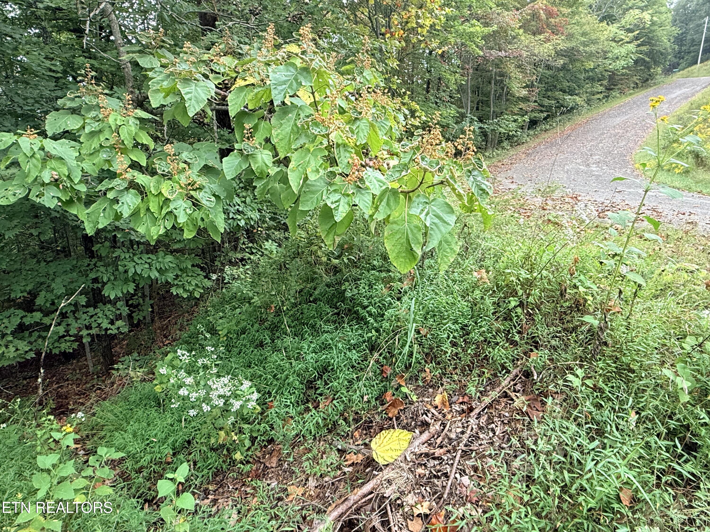 Lot 192 Clinch View Road New Tazewell TN 37825
