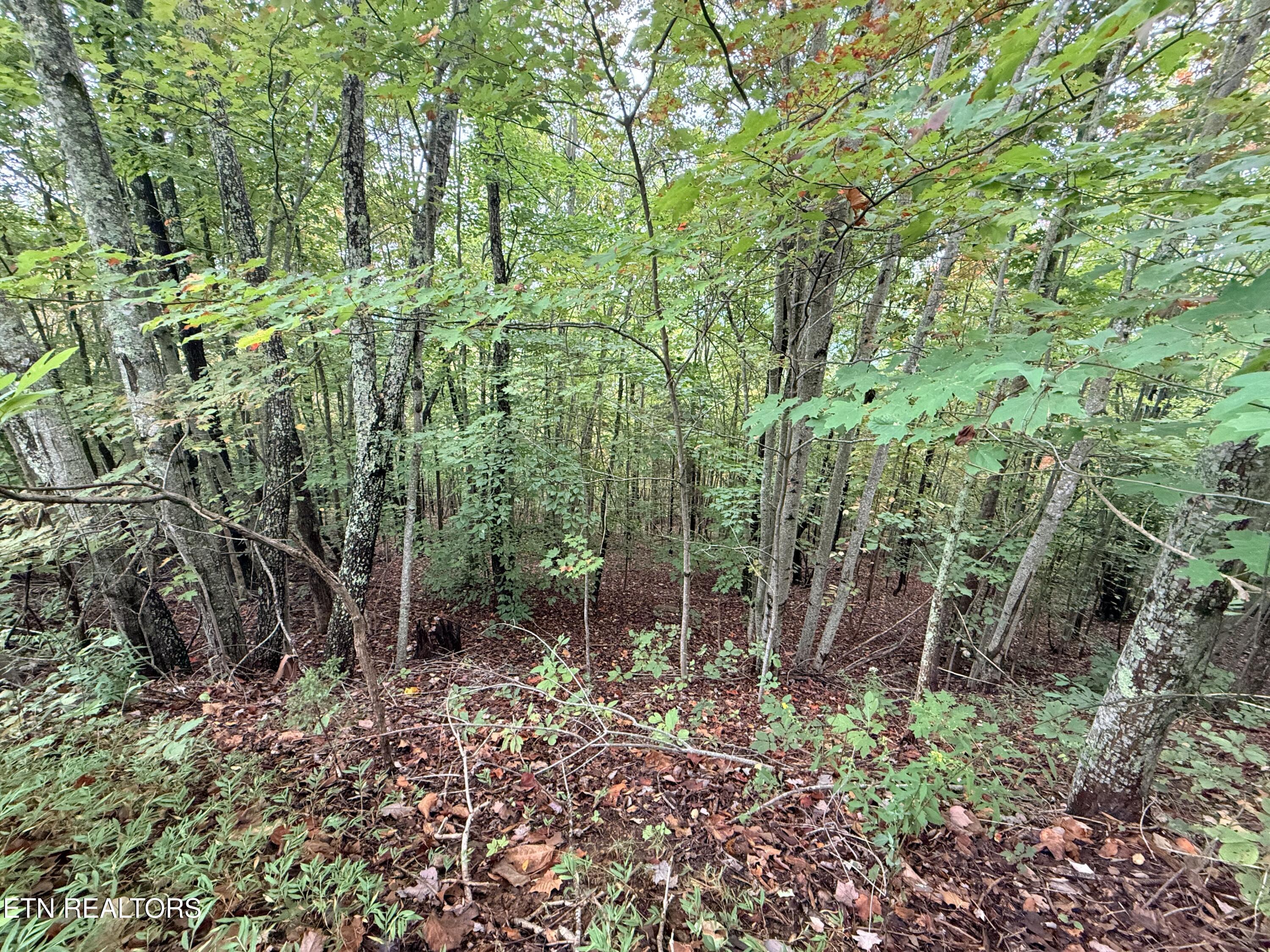 Lot 192 Clinch View Road New Tazewell TN 37825