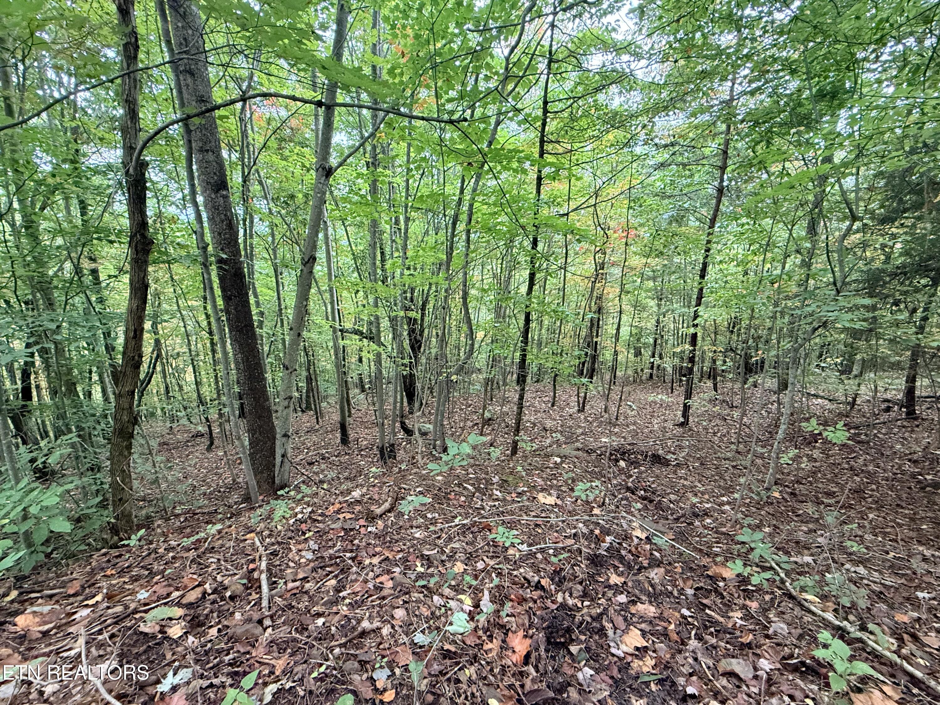 Lot 192 Clinch View Road New Tazewell TN 37825