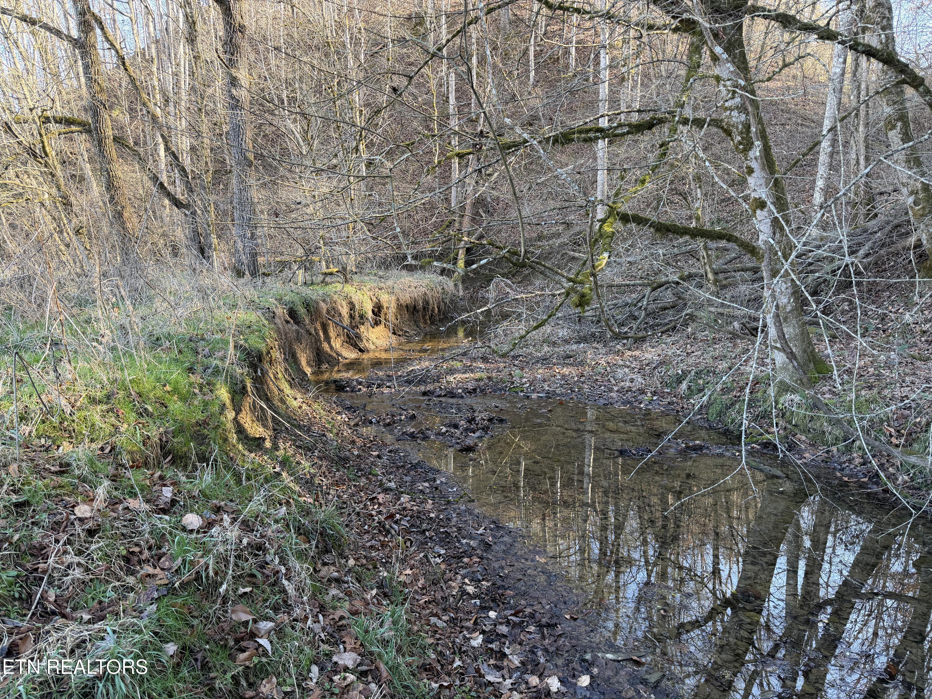 0 Dupont Seymour TN 37865