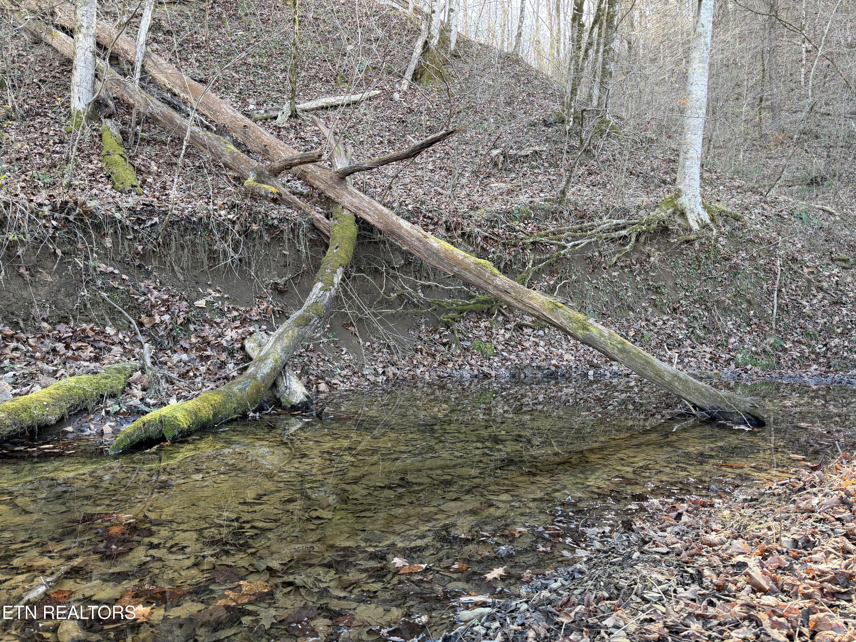 0 Dupont Seymour TN 37865