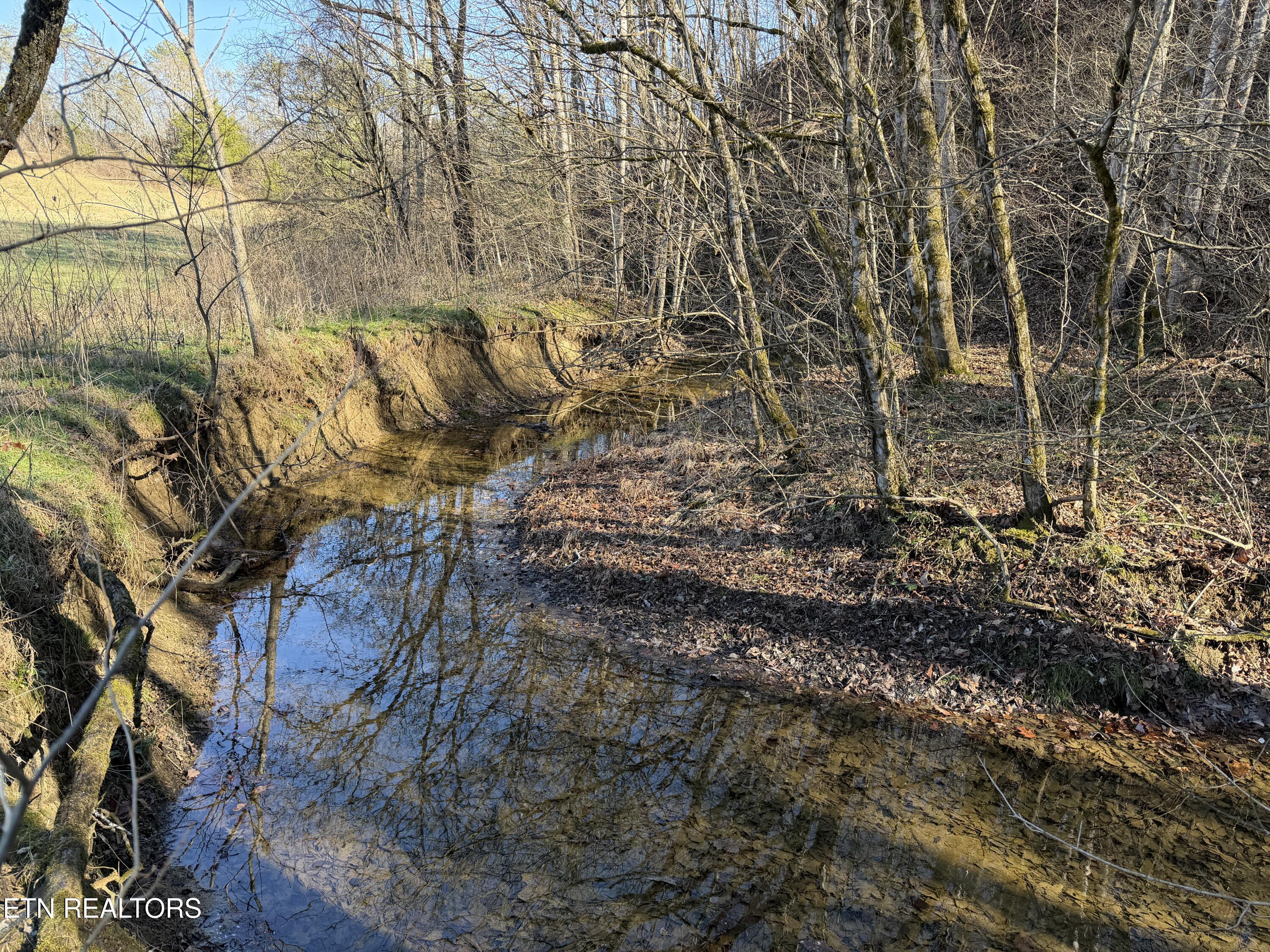 0 Dupont Seymour TN 37865