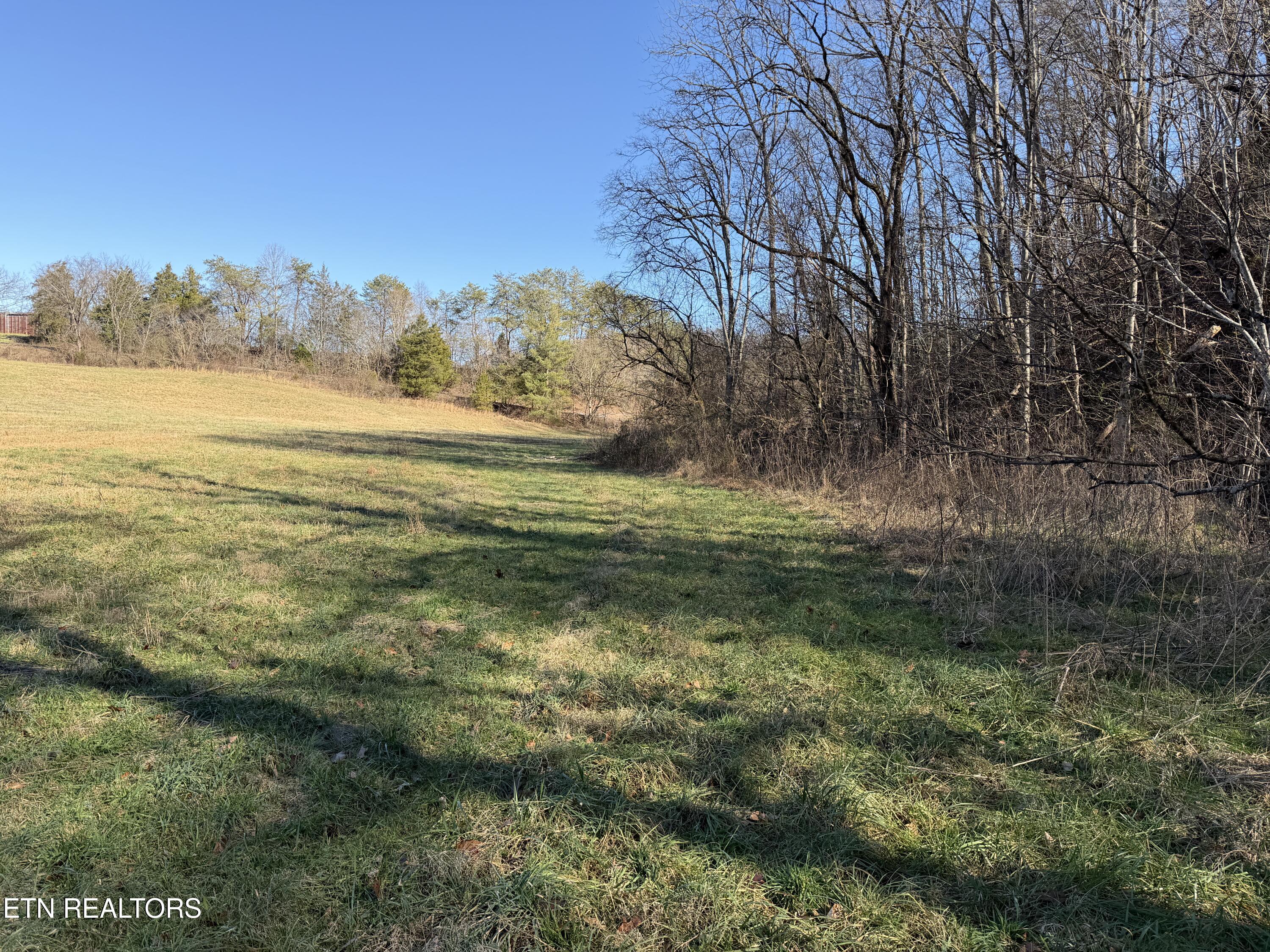 0 Dupont Seymour TN 37865