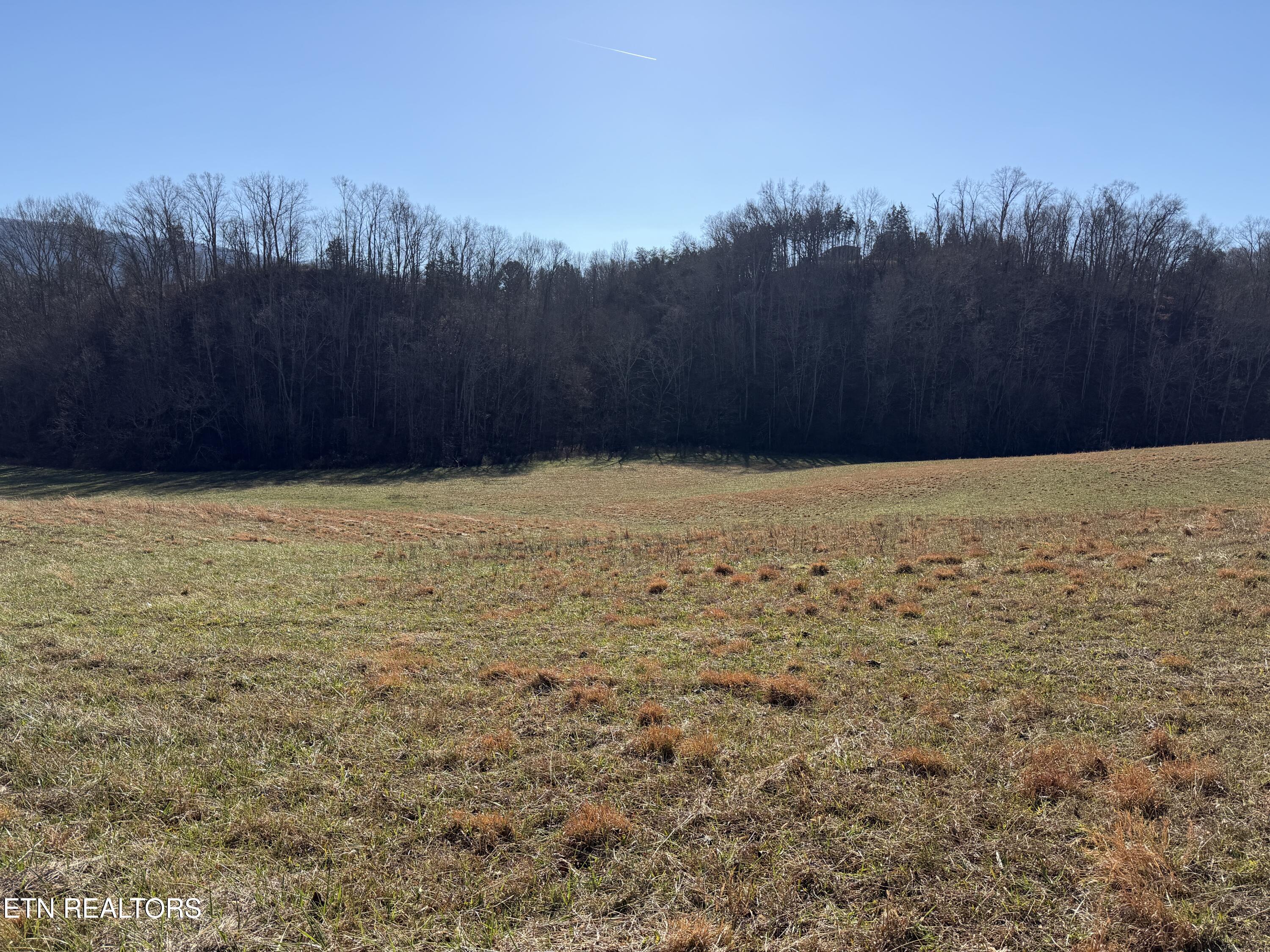 0 Dupont Seymour TN 37865