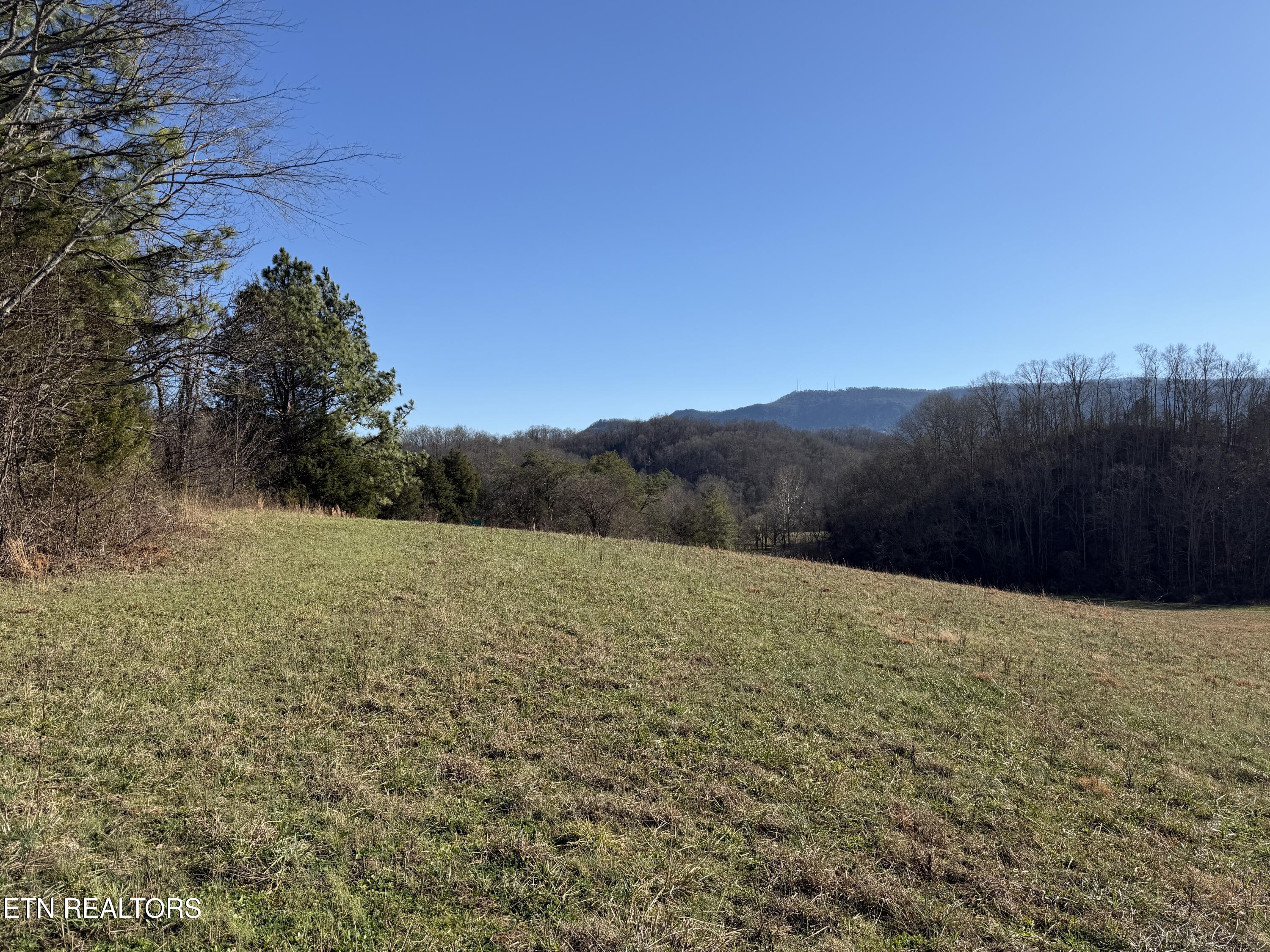 0 Dupont Seymour TN 37865