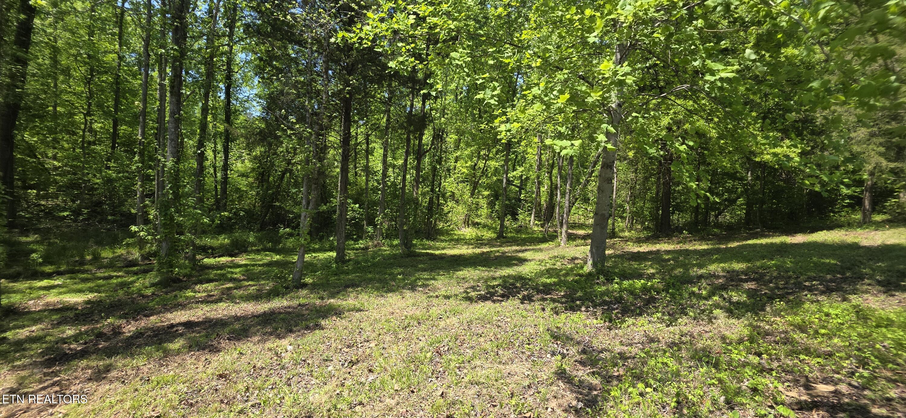 Lot 78 Harbor Ridge Lane Dandridge TN 37725