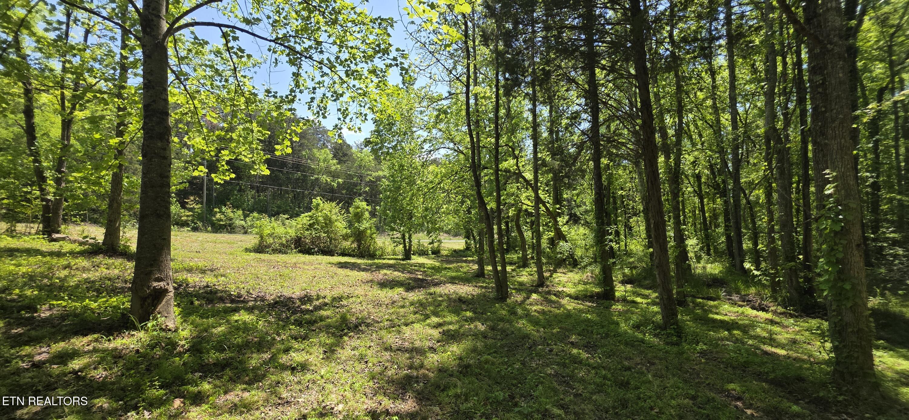 Lot 78 Harbor Ridge Lane Dandridge TN 37725