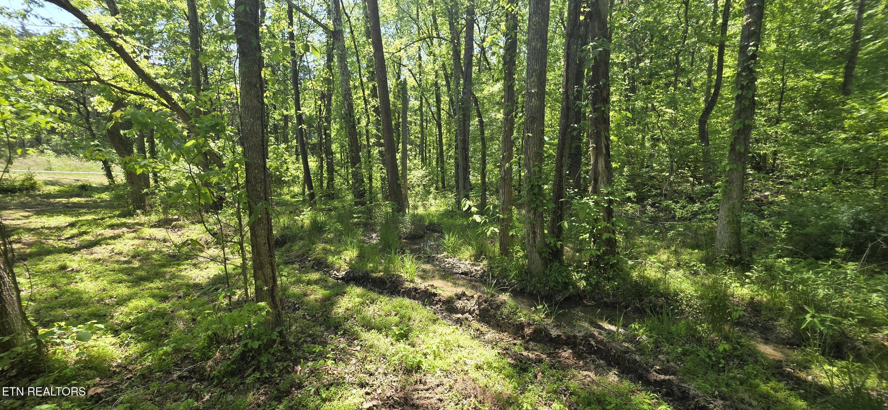 Lot 78 Harbor Ridge Lane Dandridge TN 37725