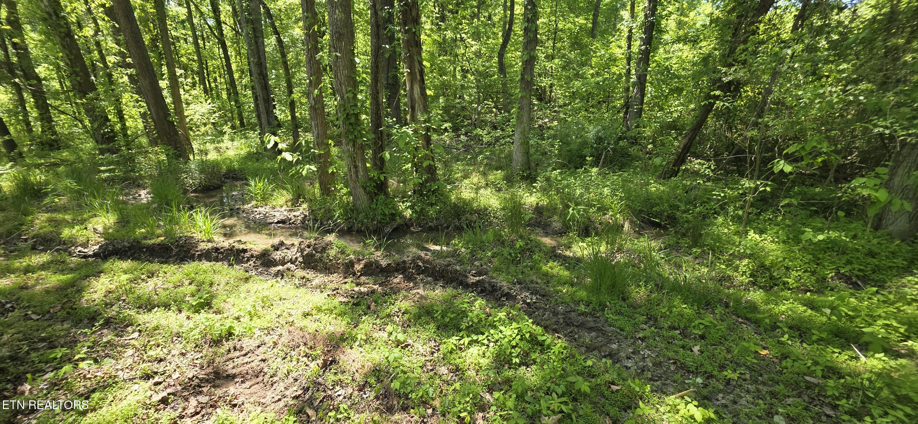 Lot 78 Harbor Ridge Lane Dandridge TN 37725