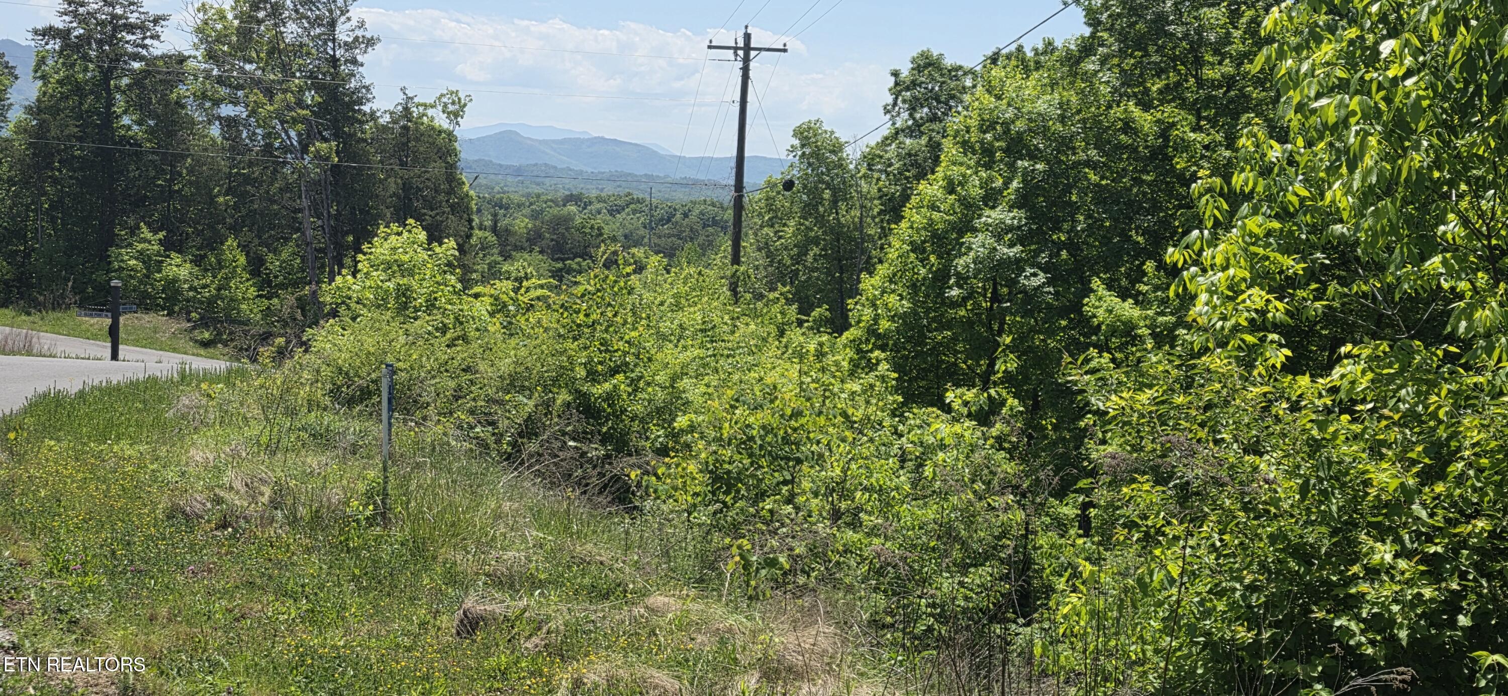 Lot 78 Harbor Ridge Lane Dandridge TN 37725