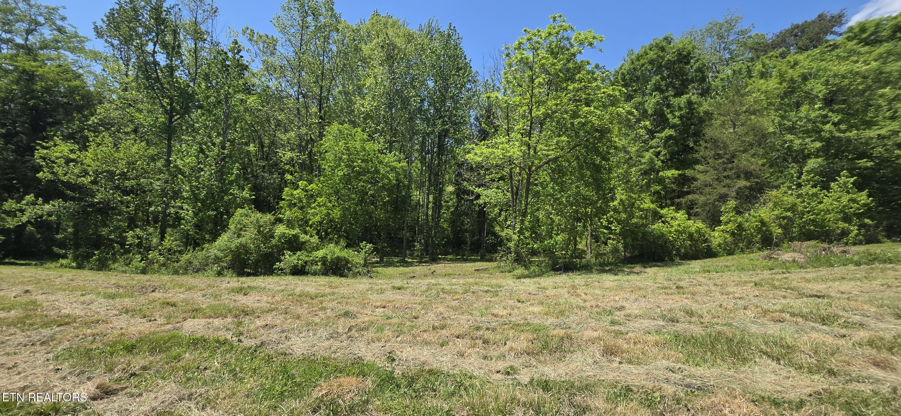 Lot 78 Harbor Ridge Lane Dandridge TN 37725