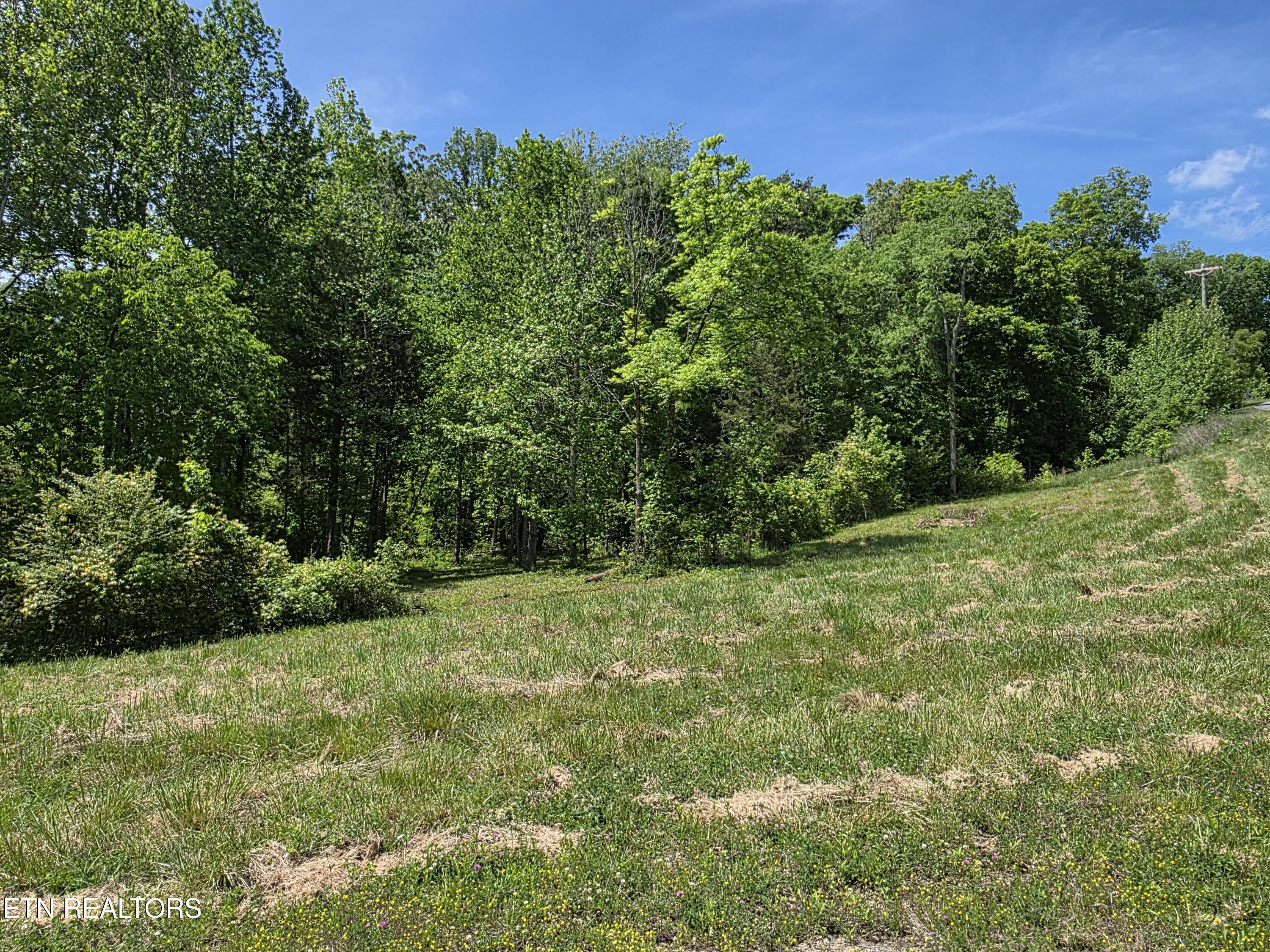 Lot 78 Harbor Ridge Lane Dandridge TN 37725