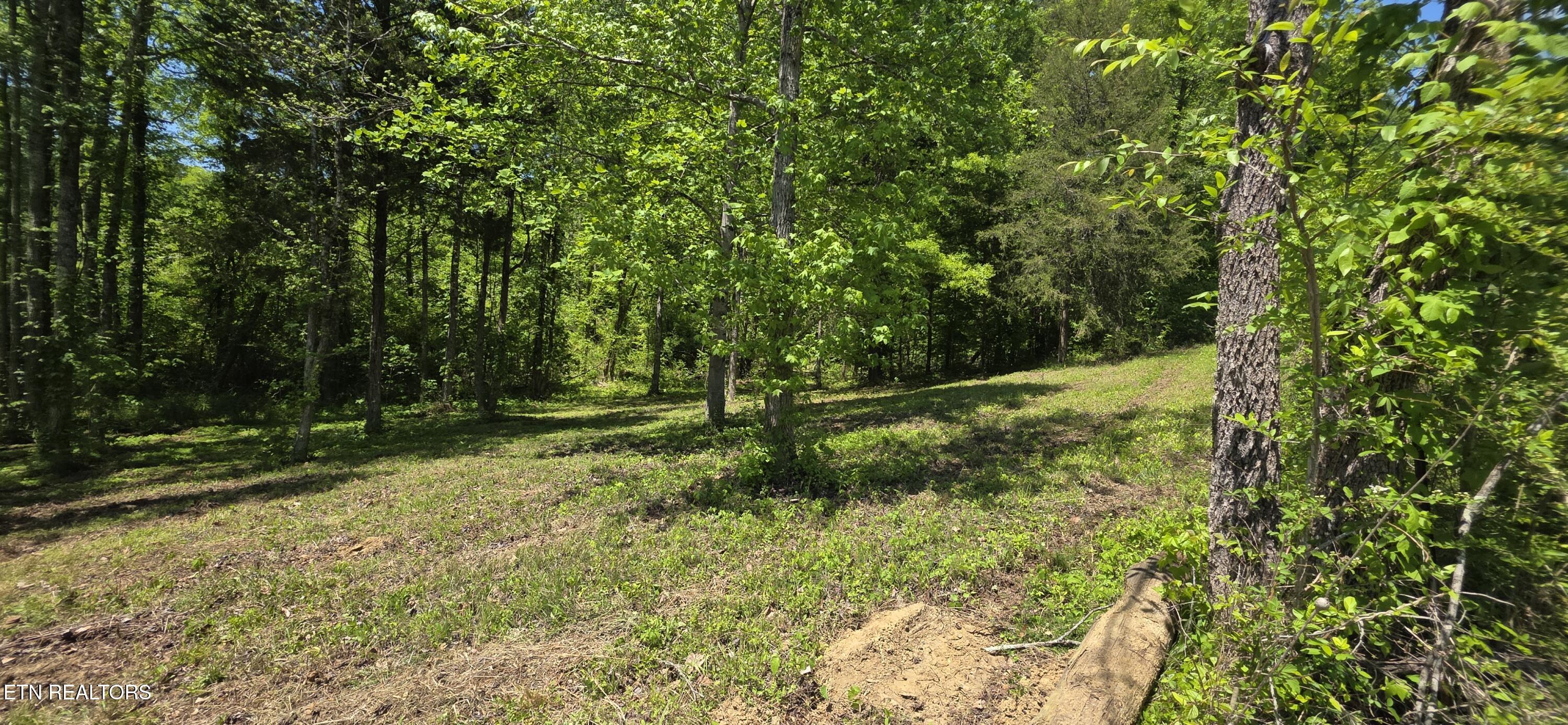 Lot 78 Harbor Ridge Lane Dandridge TN 37725