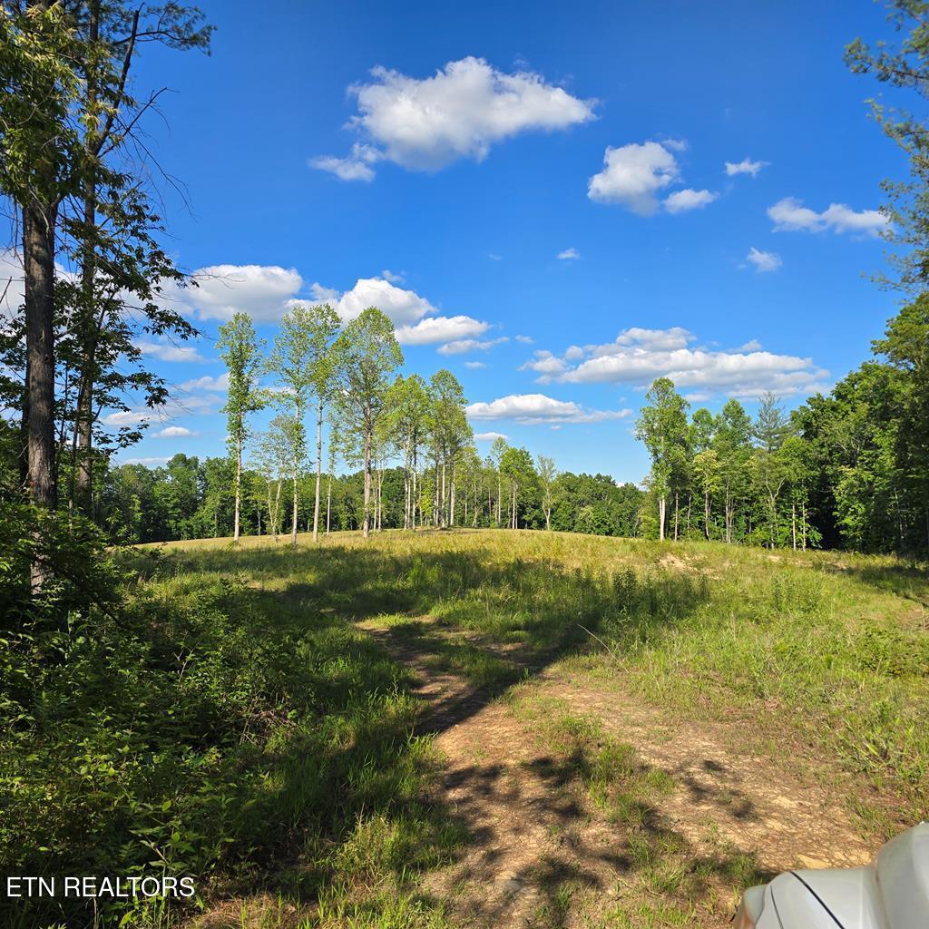 50+/- Ac Red Hill Road Sunbright TN 37872