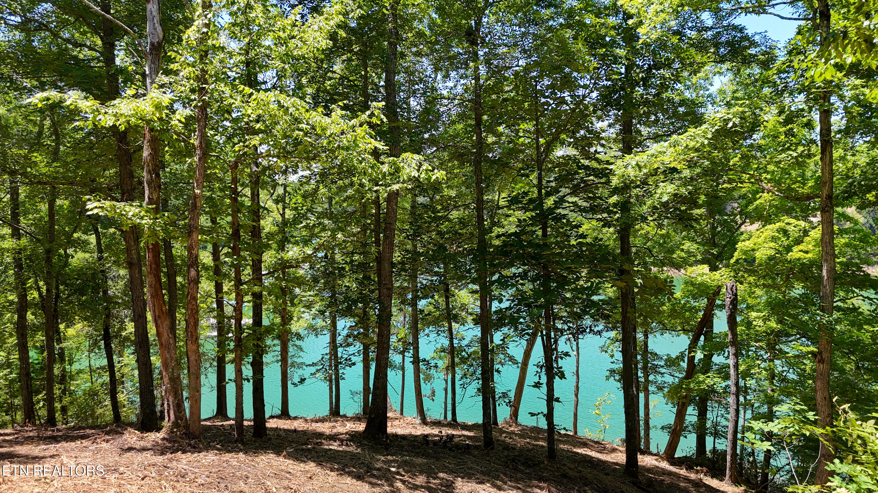 Lot 2 Lake Oaks Way Sevierville TN 37876