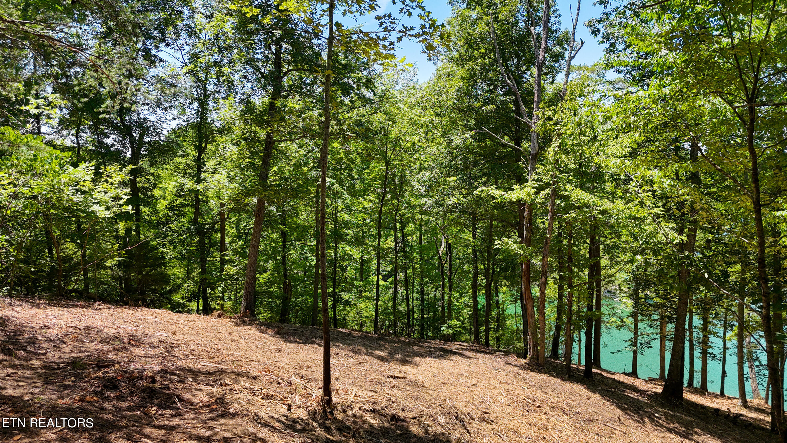 Lot 2 Lake Oaks Way Sevierville TN 37876