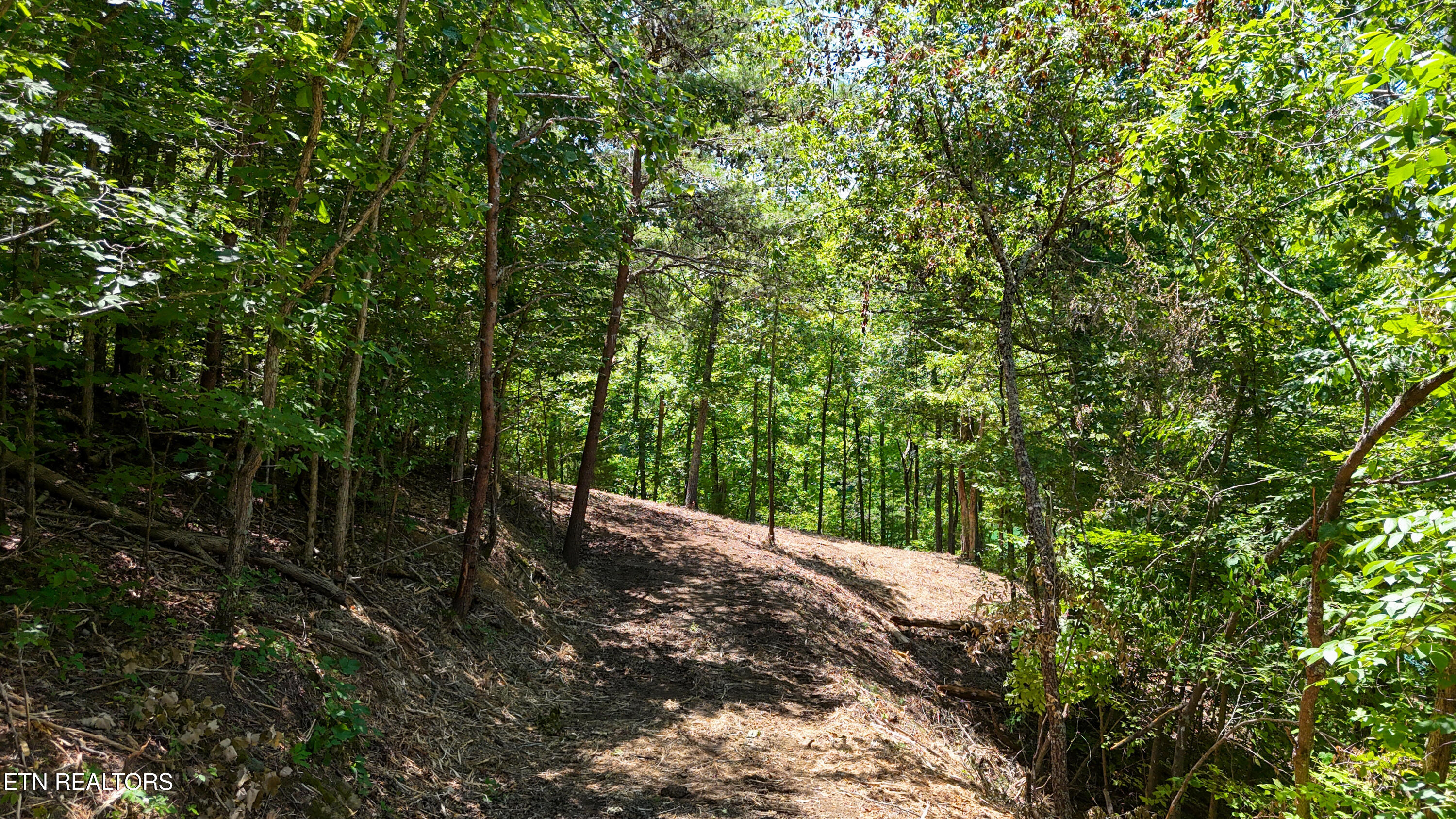 Lot 2 Lake Oaks Way Sevierville TN 37876