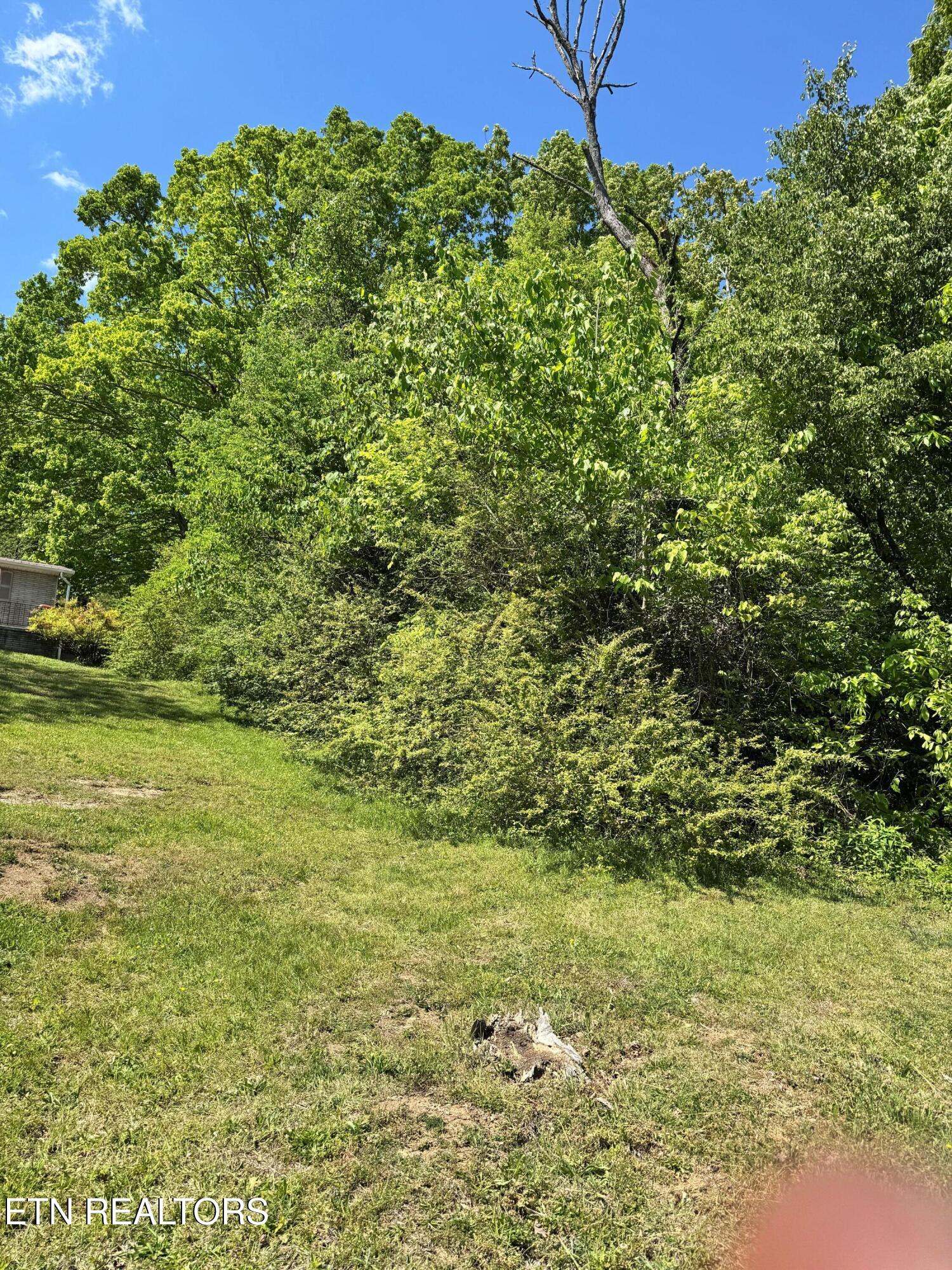 0 Brown Road Knoxville TN 37920