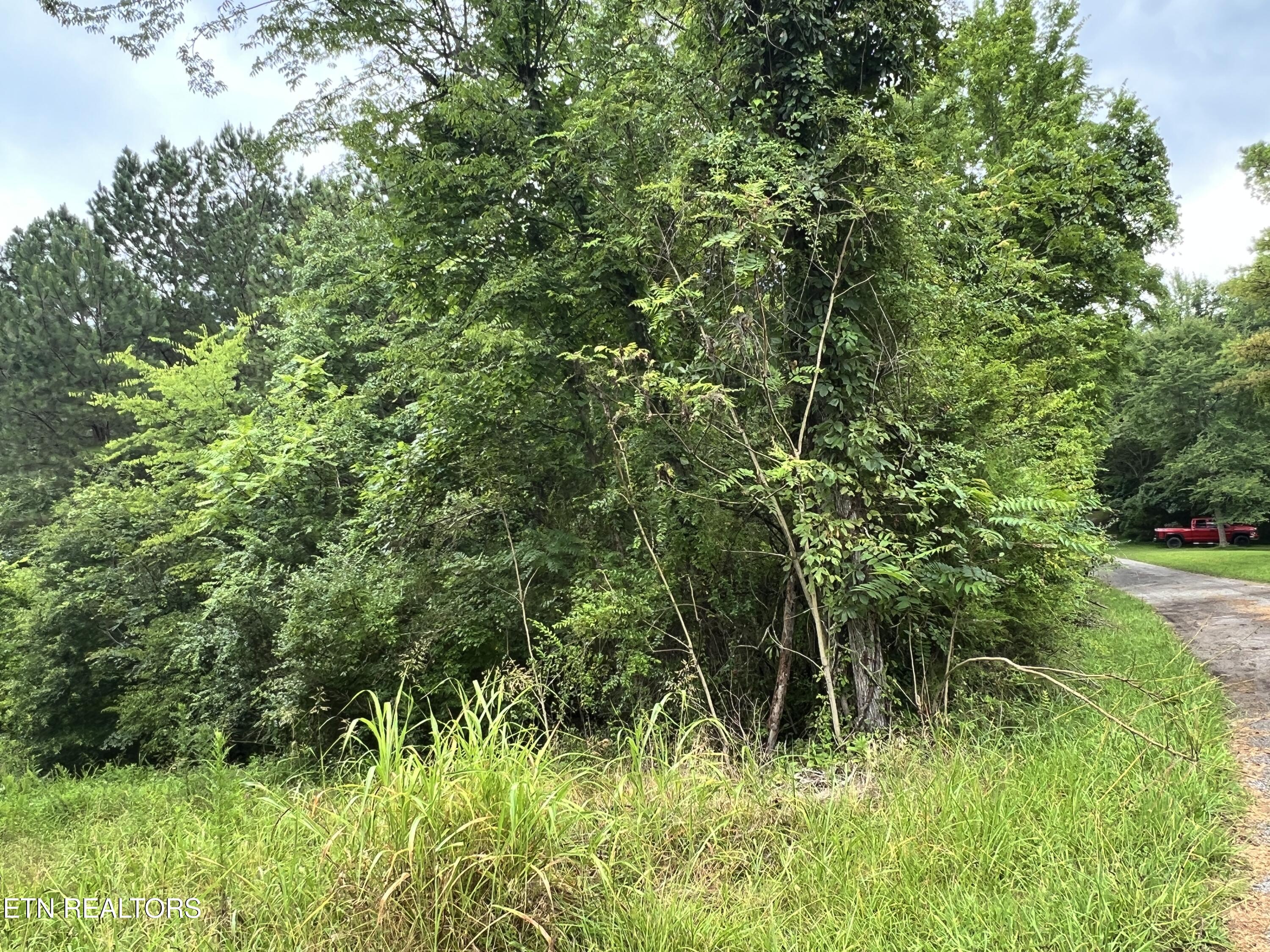 Lot 10 Wiley Prigmore Lane Decatur TN 37322