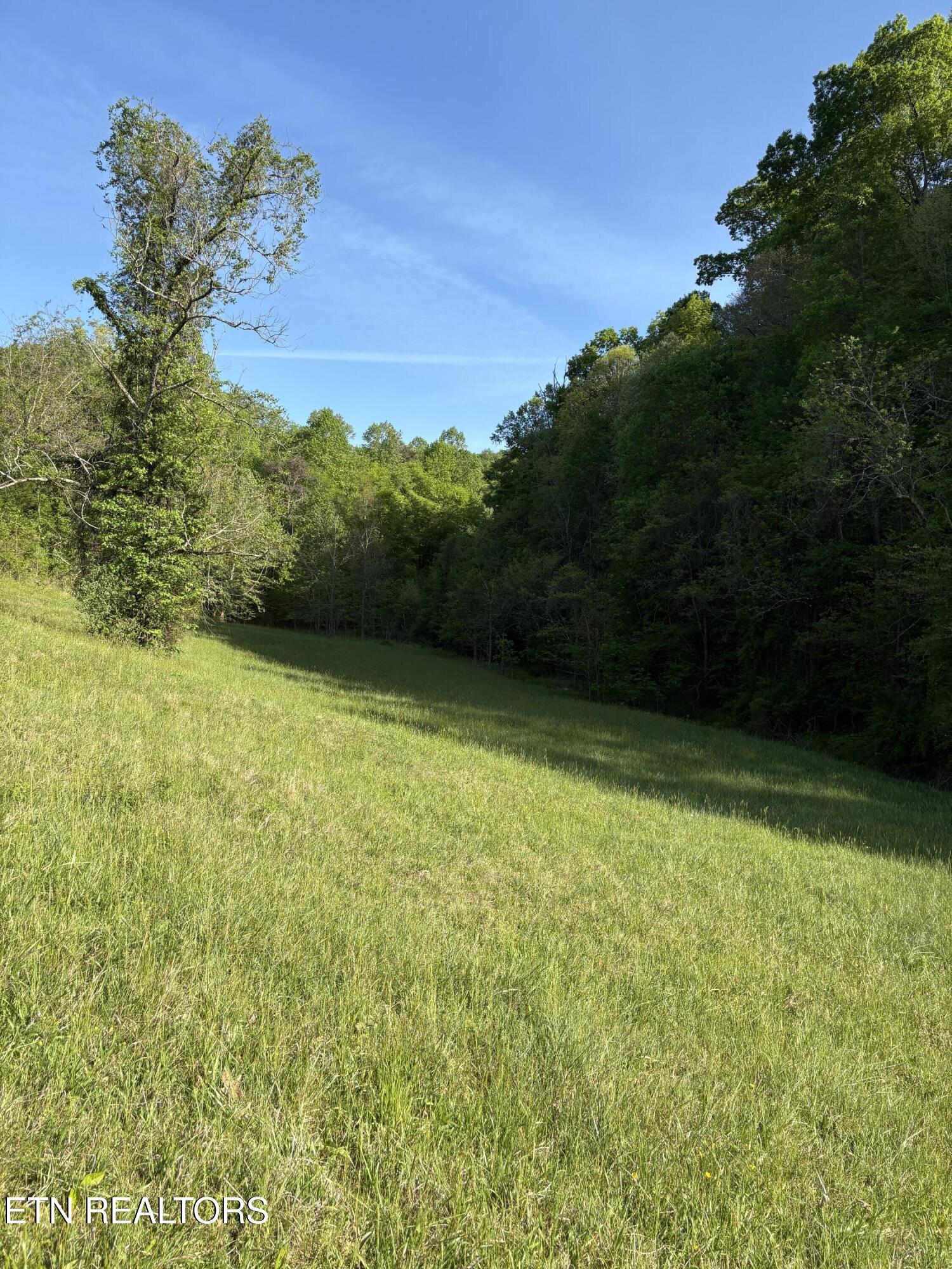 Lot 485 Russell Brothers Road Sharps Chapel TN 37866