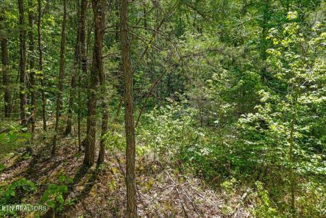 215 Citico Road Lot 1 Road Vonore TN 37885