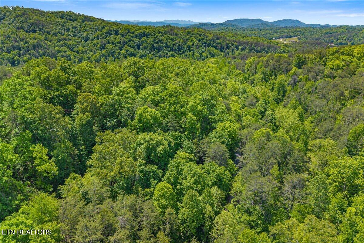 215 Citico Road Lot 1 Road Vonore TN 37885