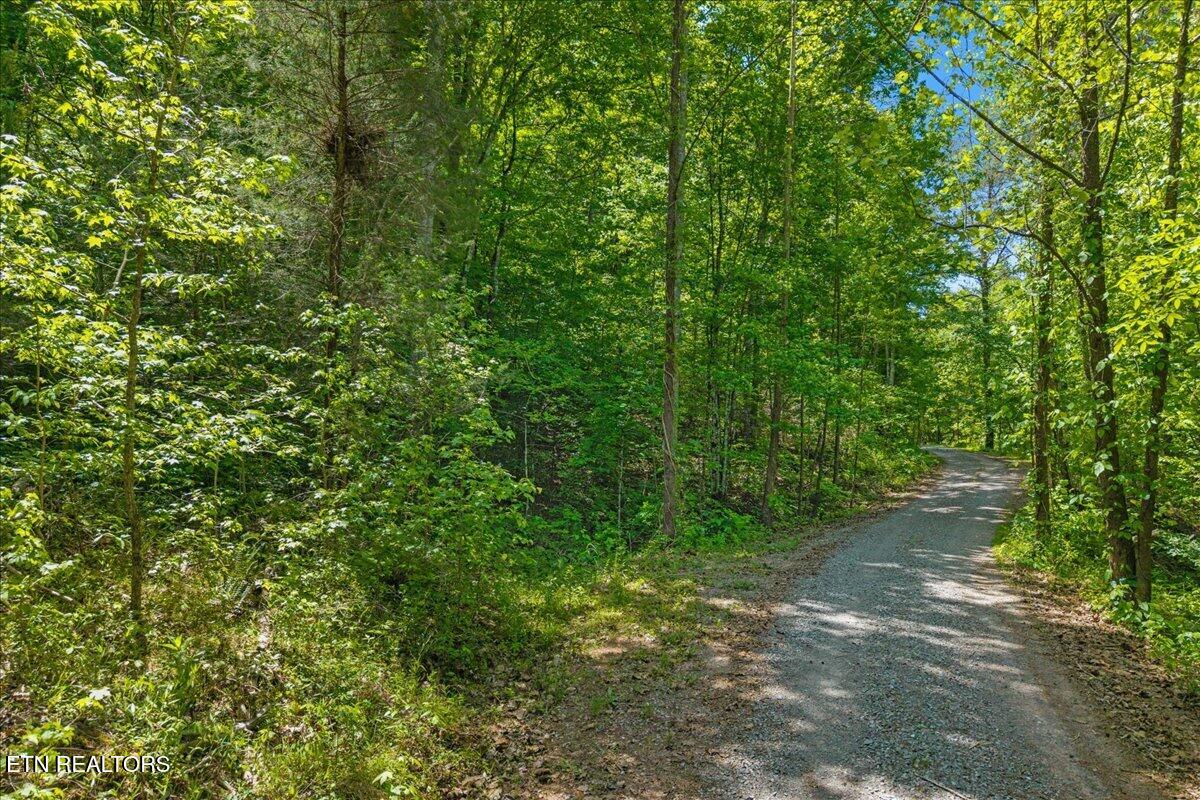 215 Citico Road Lot 1 Road Vonore TN 37885