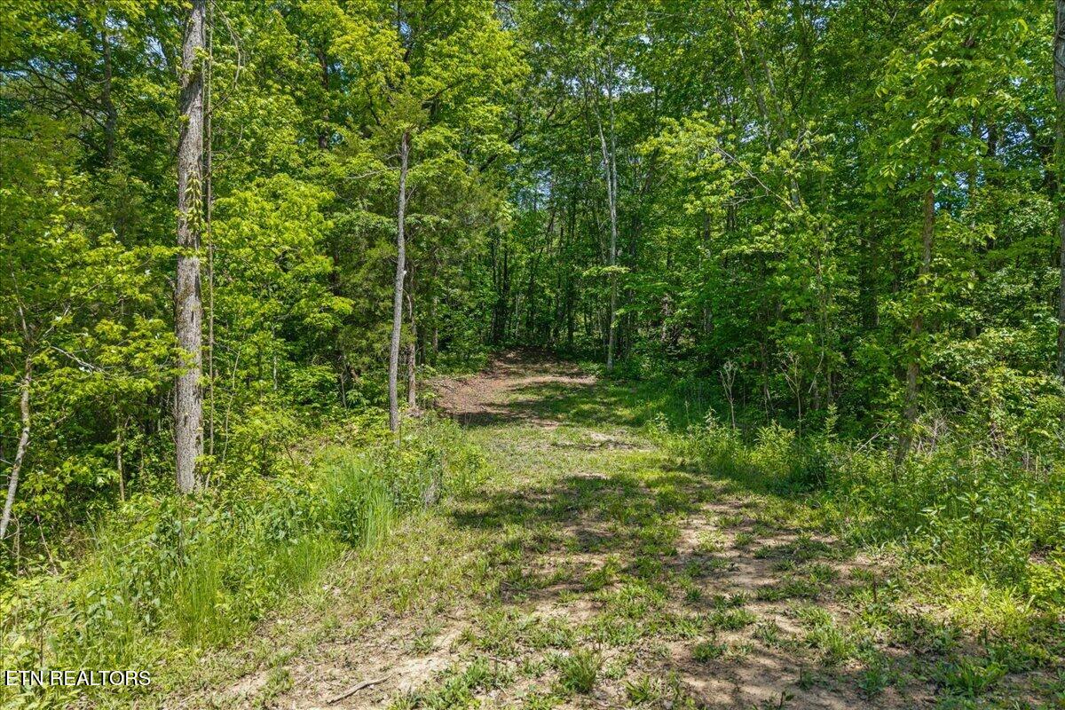 215 Citico Road Lot 1 Road Vonore TN 37885